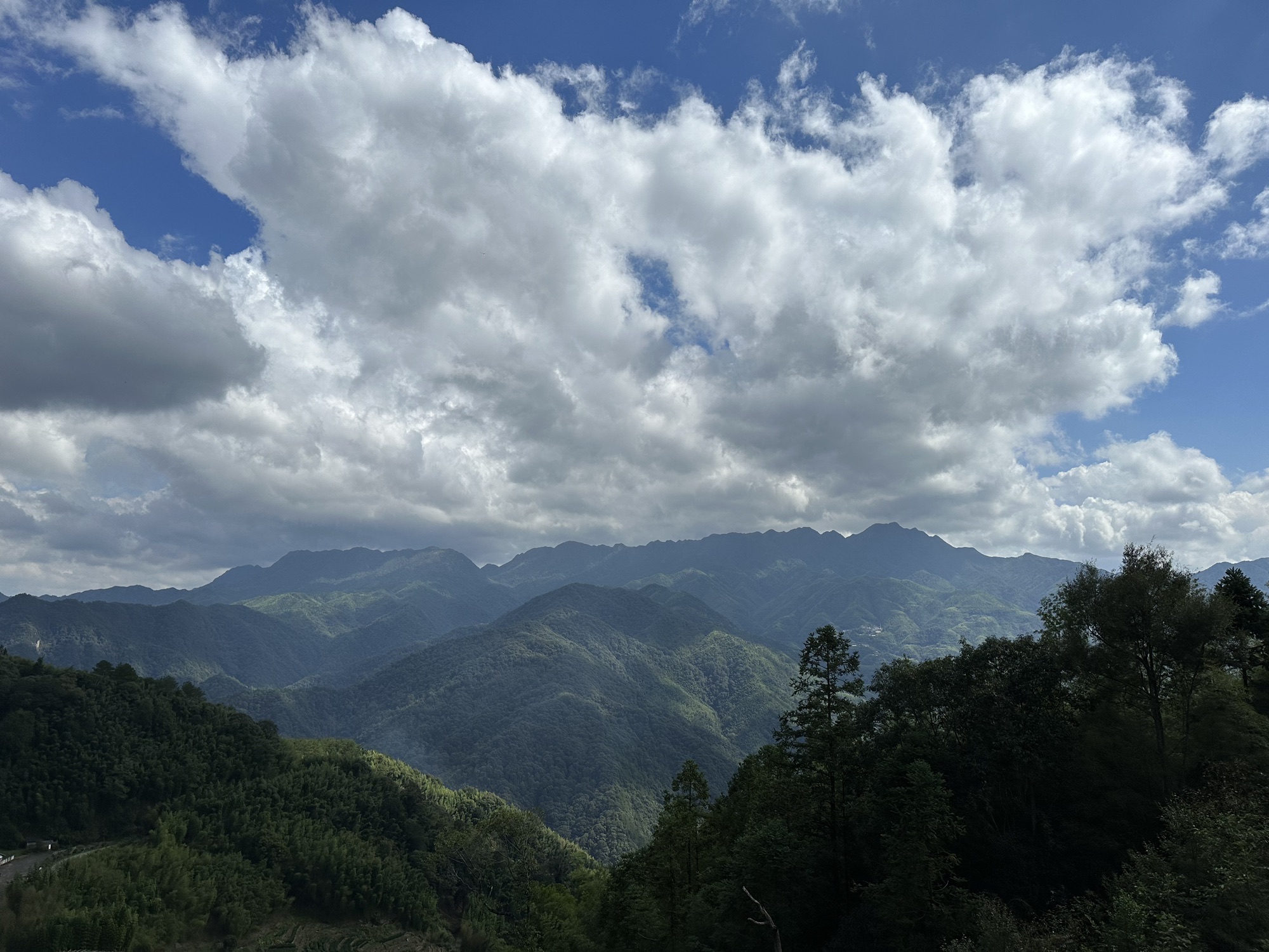 龙岩梅花山虎园旅行图片 1