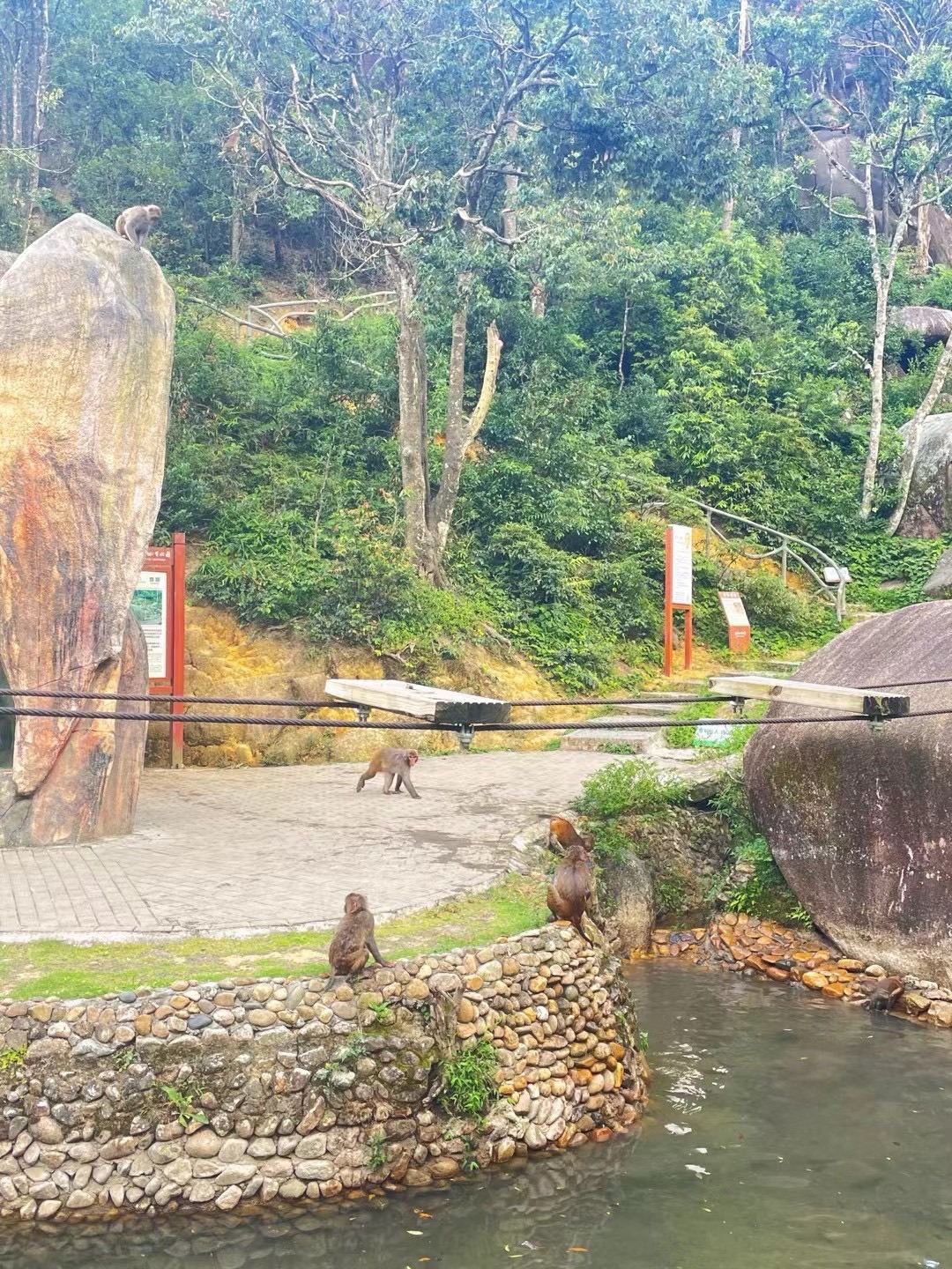 龙岩梅花山虎园旅行图片 3