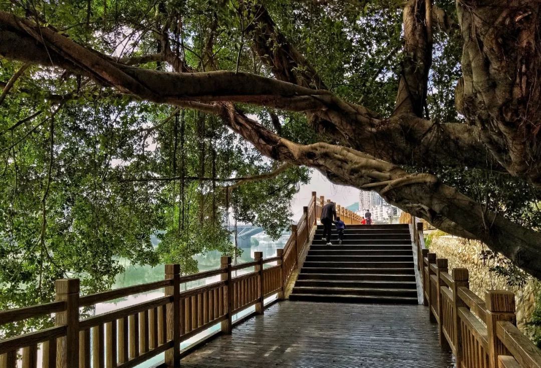 福祉阁公园旅行图片 3