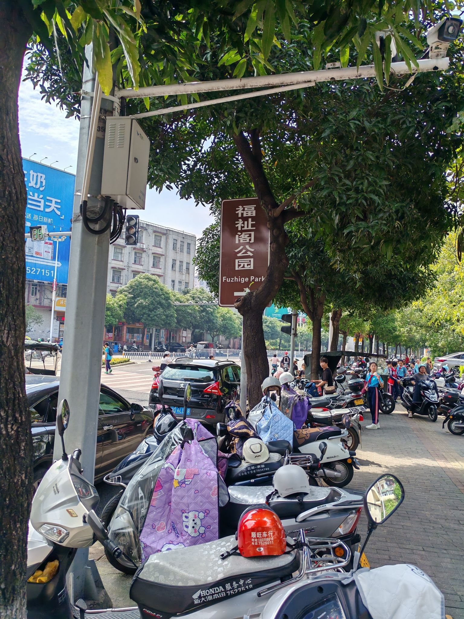 福祉阁公园旅行图片 3