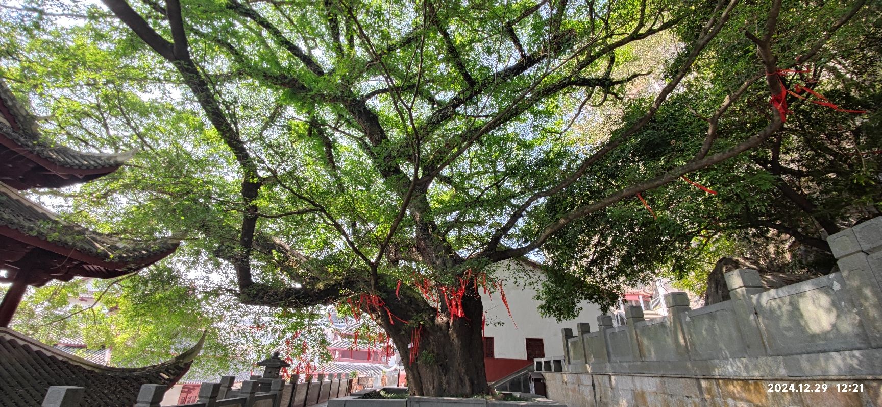 狮岩景区旅行图片 1
