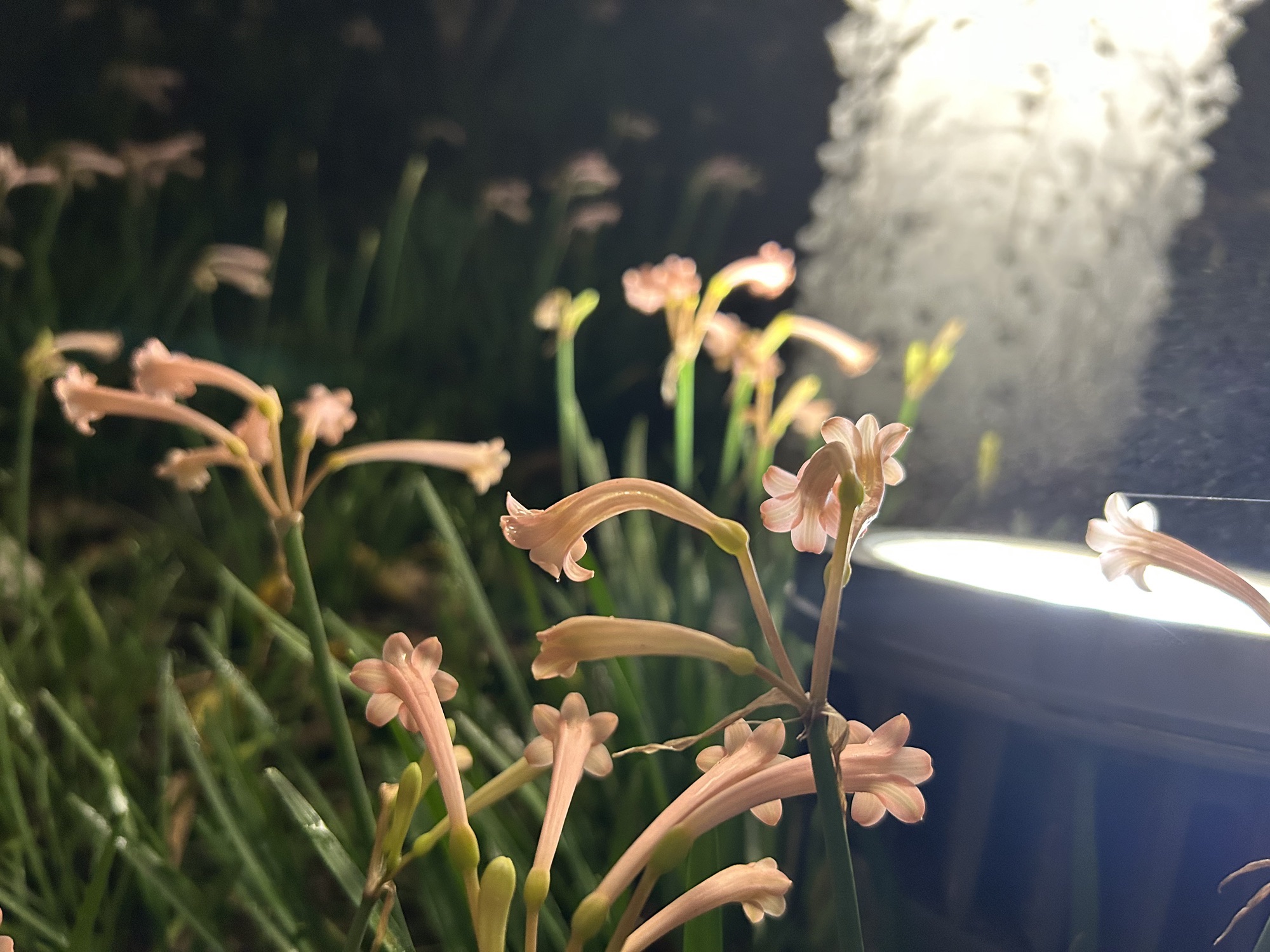 江滨公园旅行图片 2