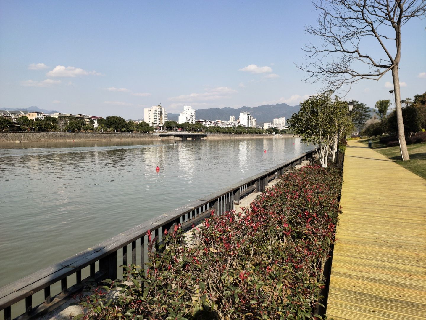 江滨公园旅行图片 3