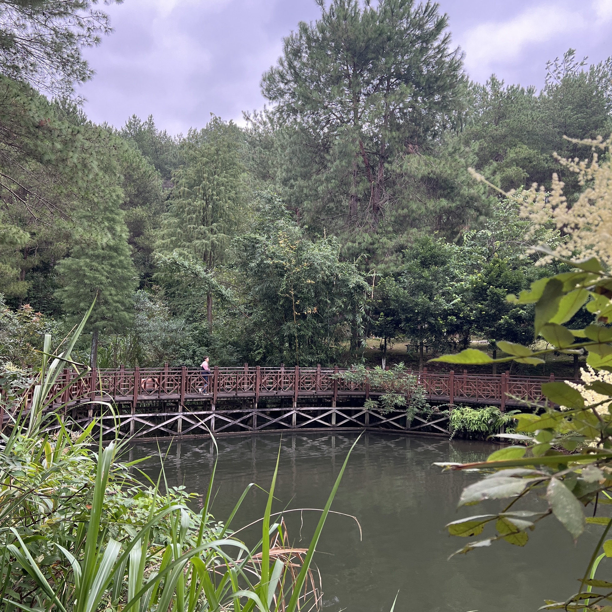紫金公园旅行图片 2