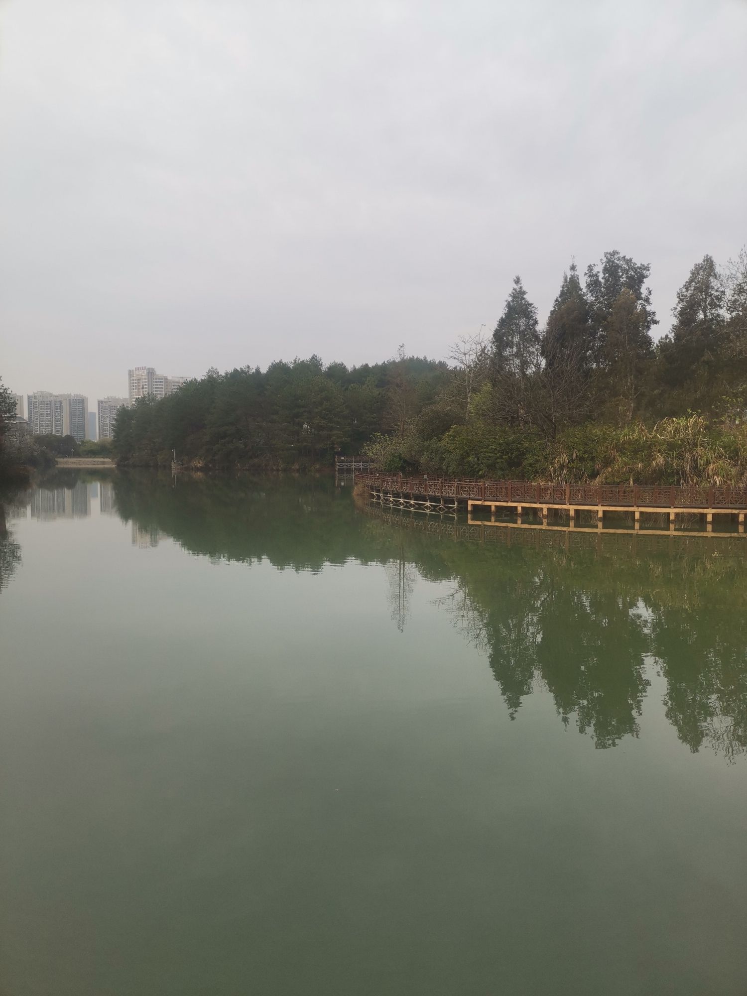 紫金公园旅行图片 2