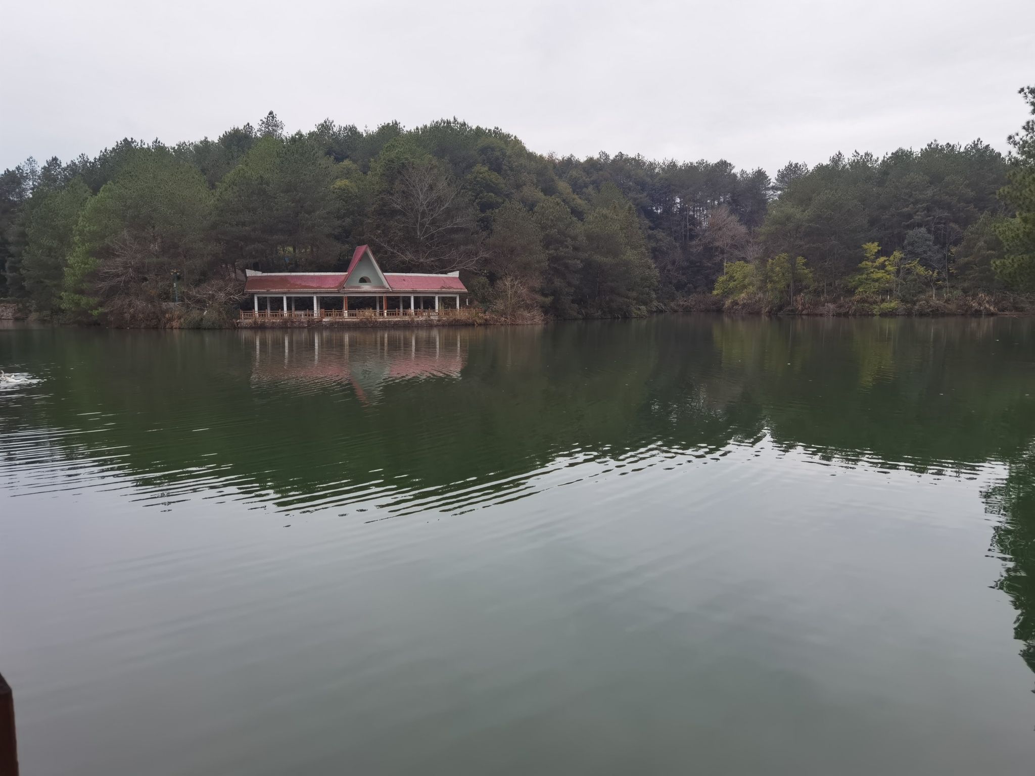 紫金公园旅行图片 1