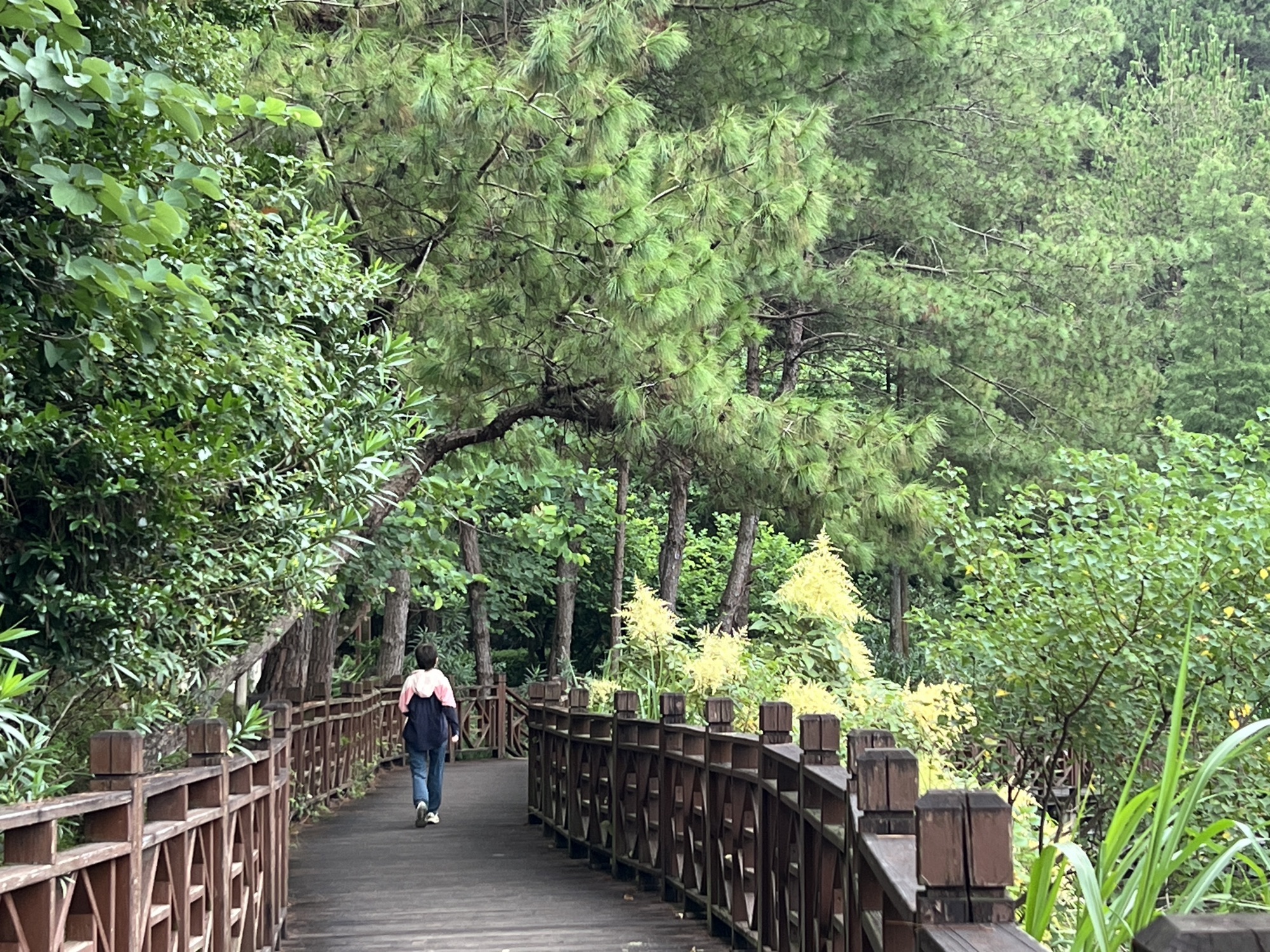 紫金公园旅行图片 1