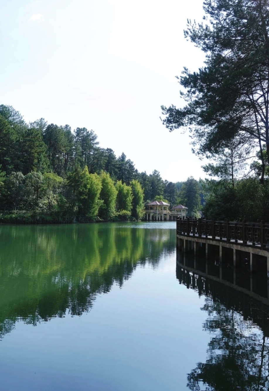 紫金公园旅行图片 2
