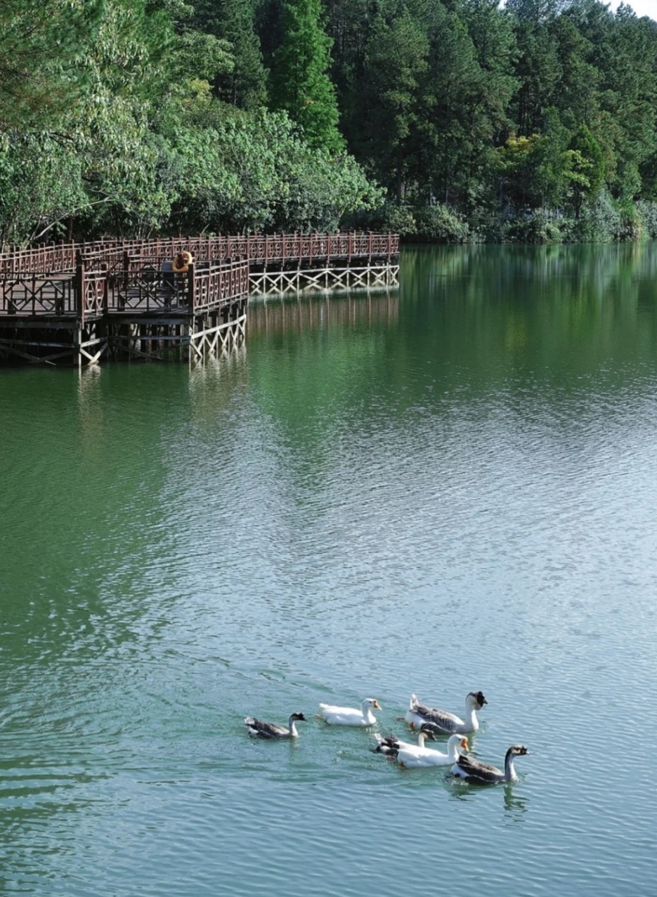 紫金公园旅行图片 3