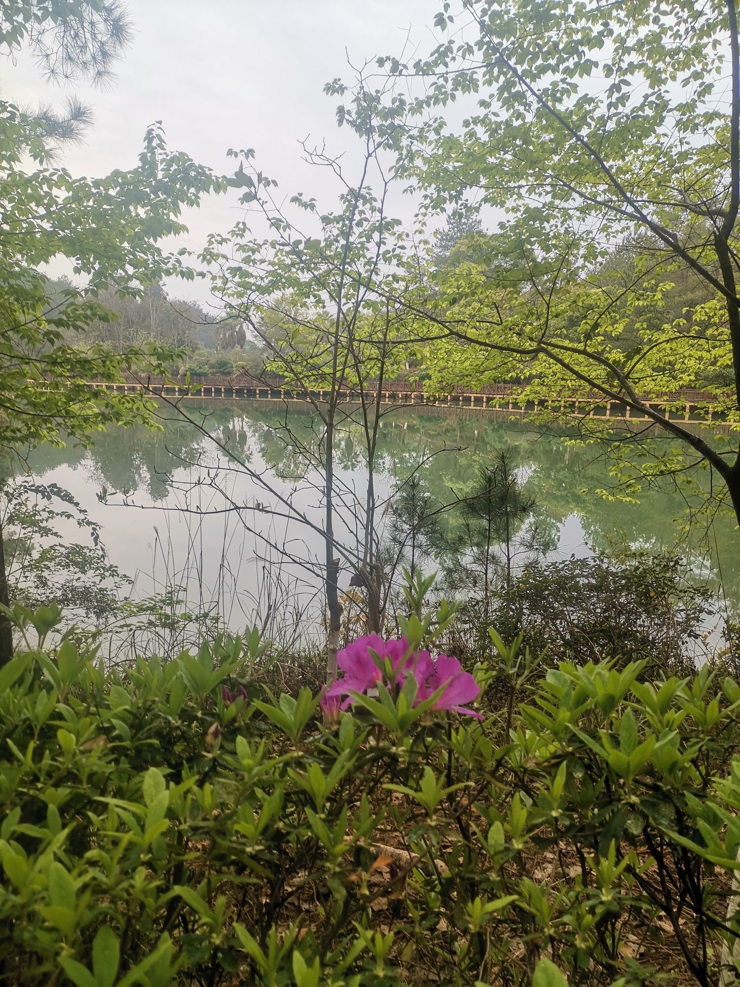 紫金公园旅行图片 3
