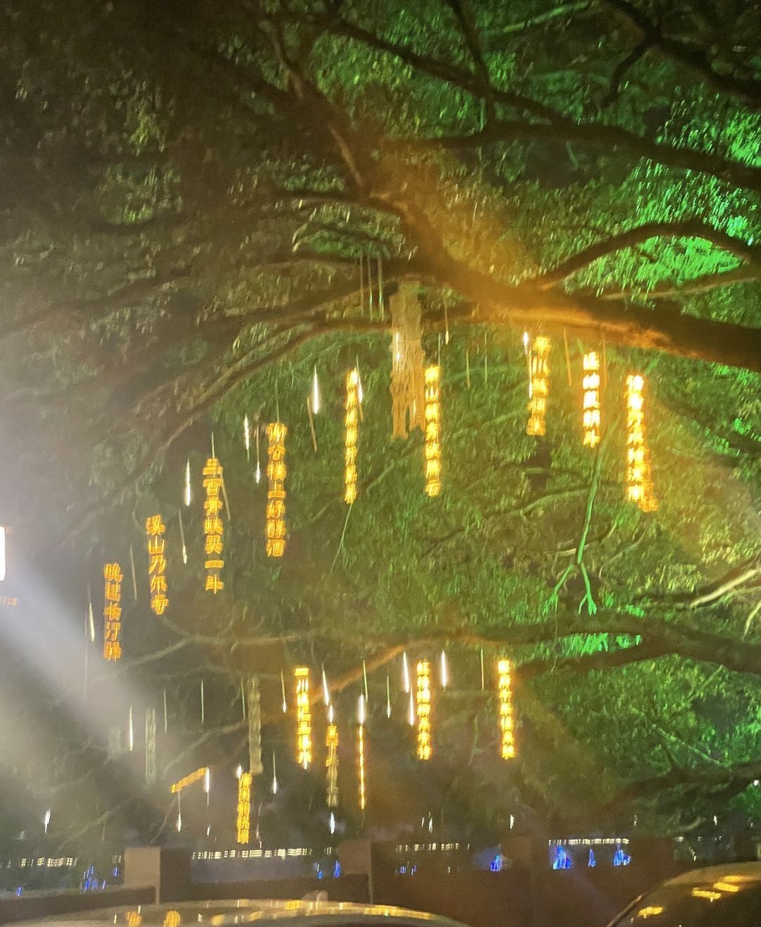 长汀古城旅行图片 1