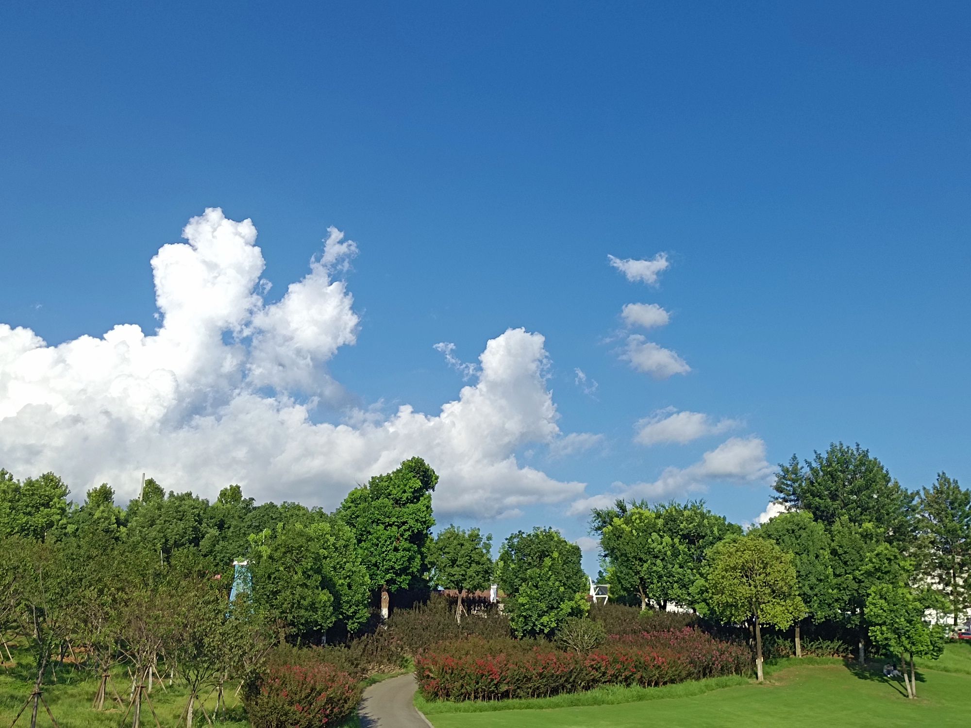 龙岩紫金山公园旅行图片 2