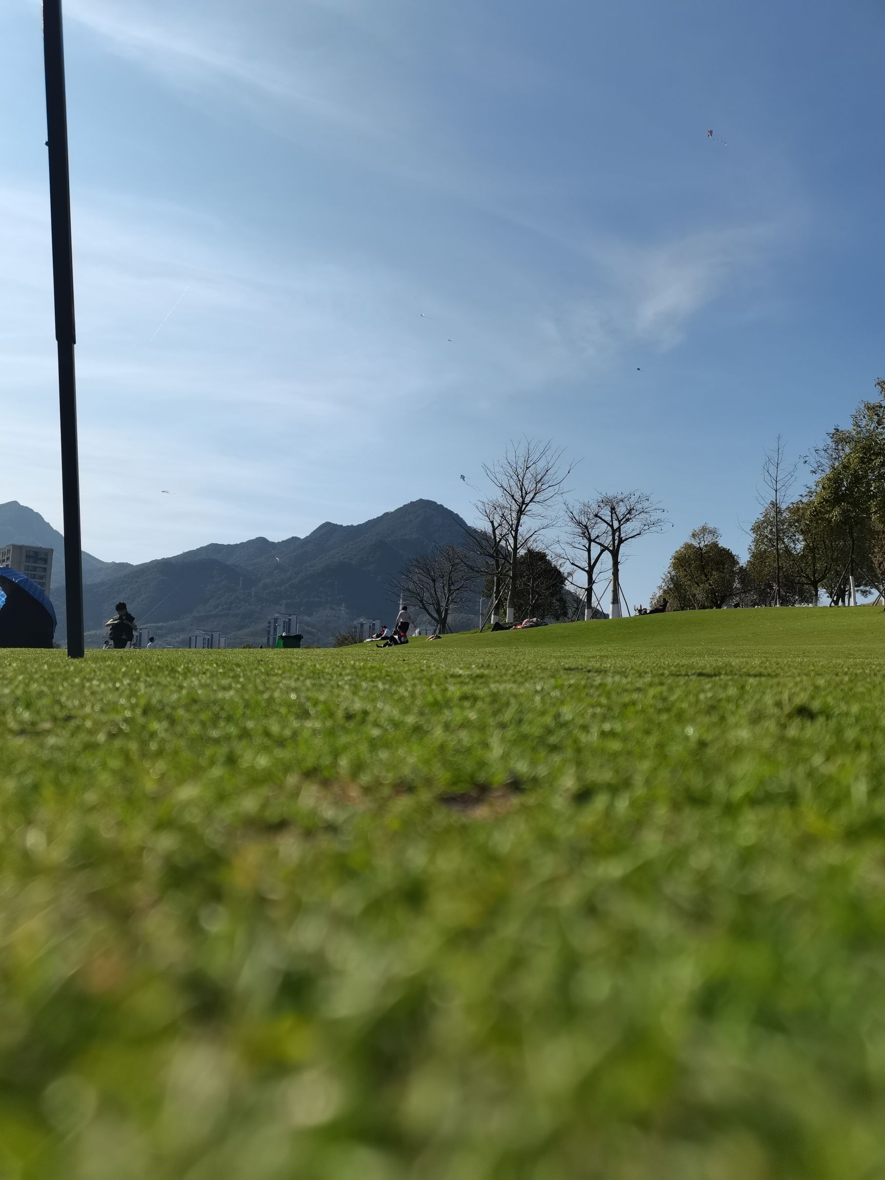 龙岩紫金山公园旅行图片 2