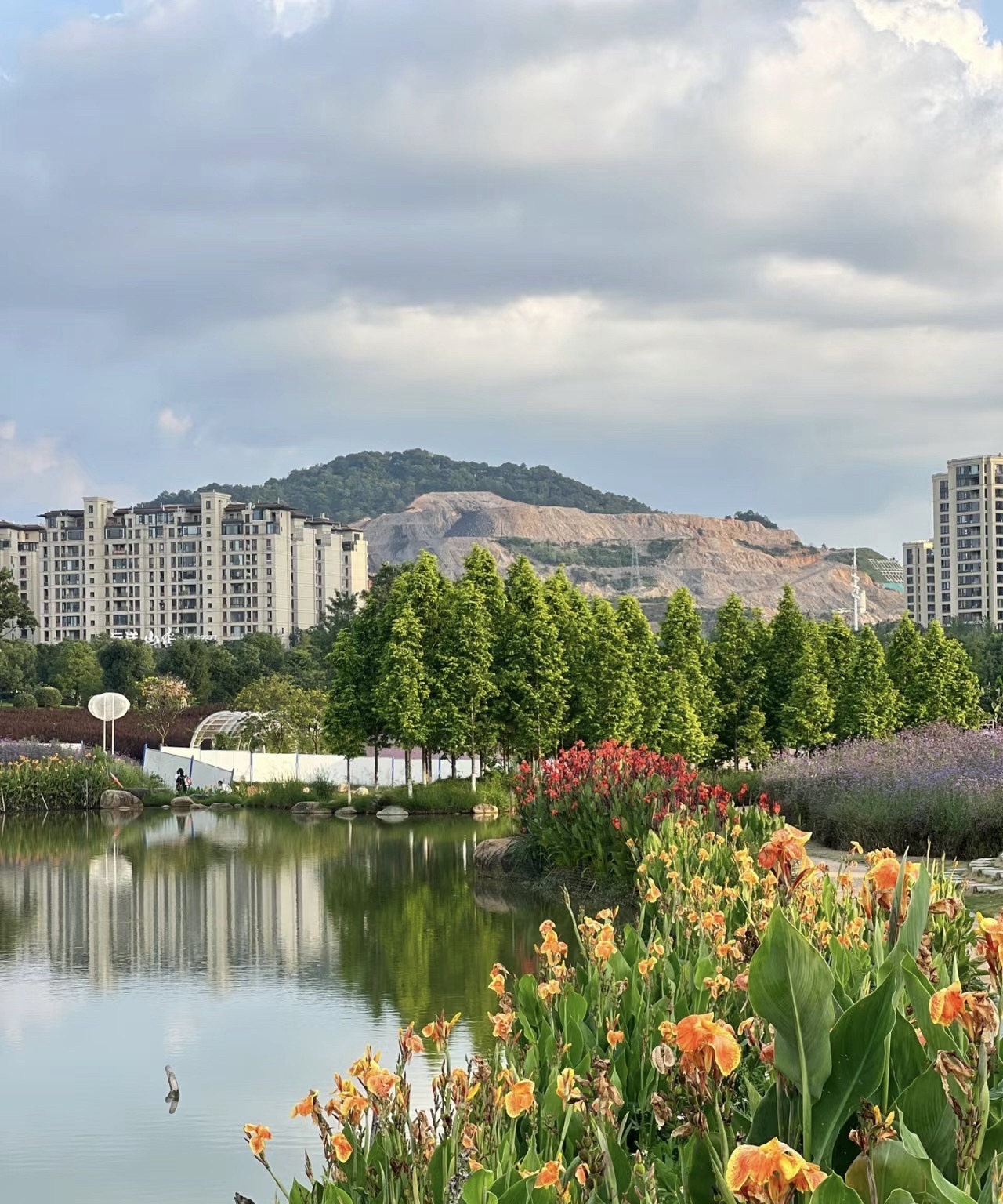 龙岩紫金山公园旅行图片 1