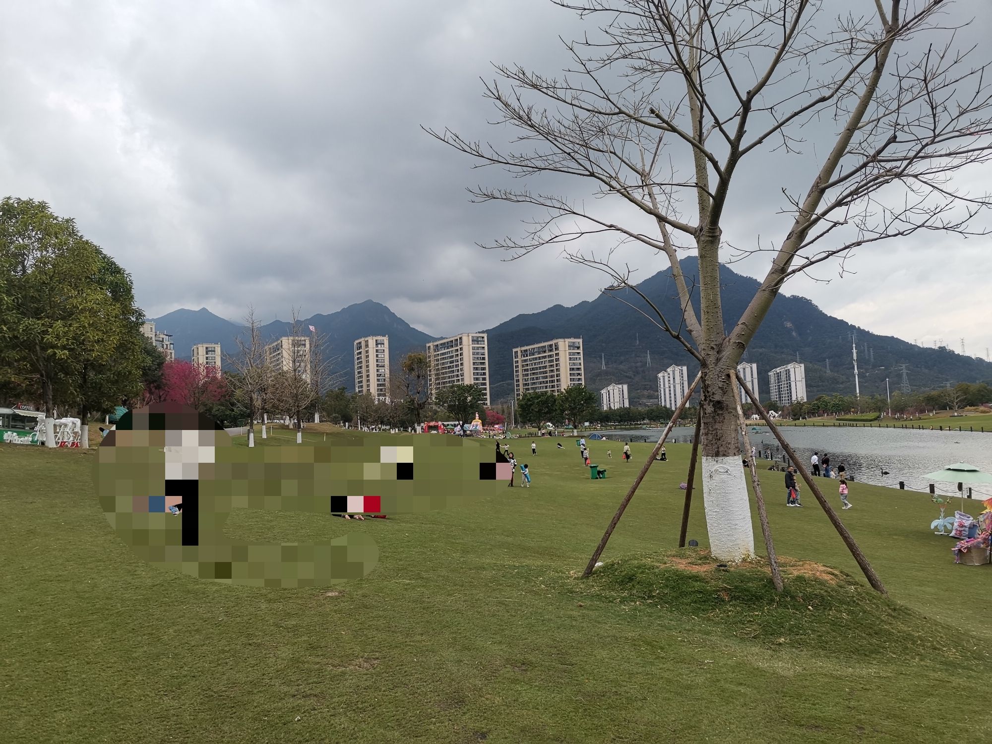 龙岩紫金山公园旅行图片 3