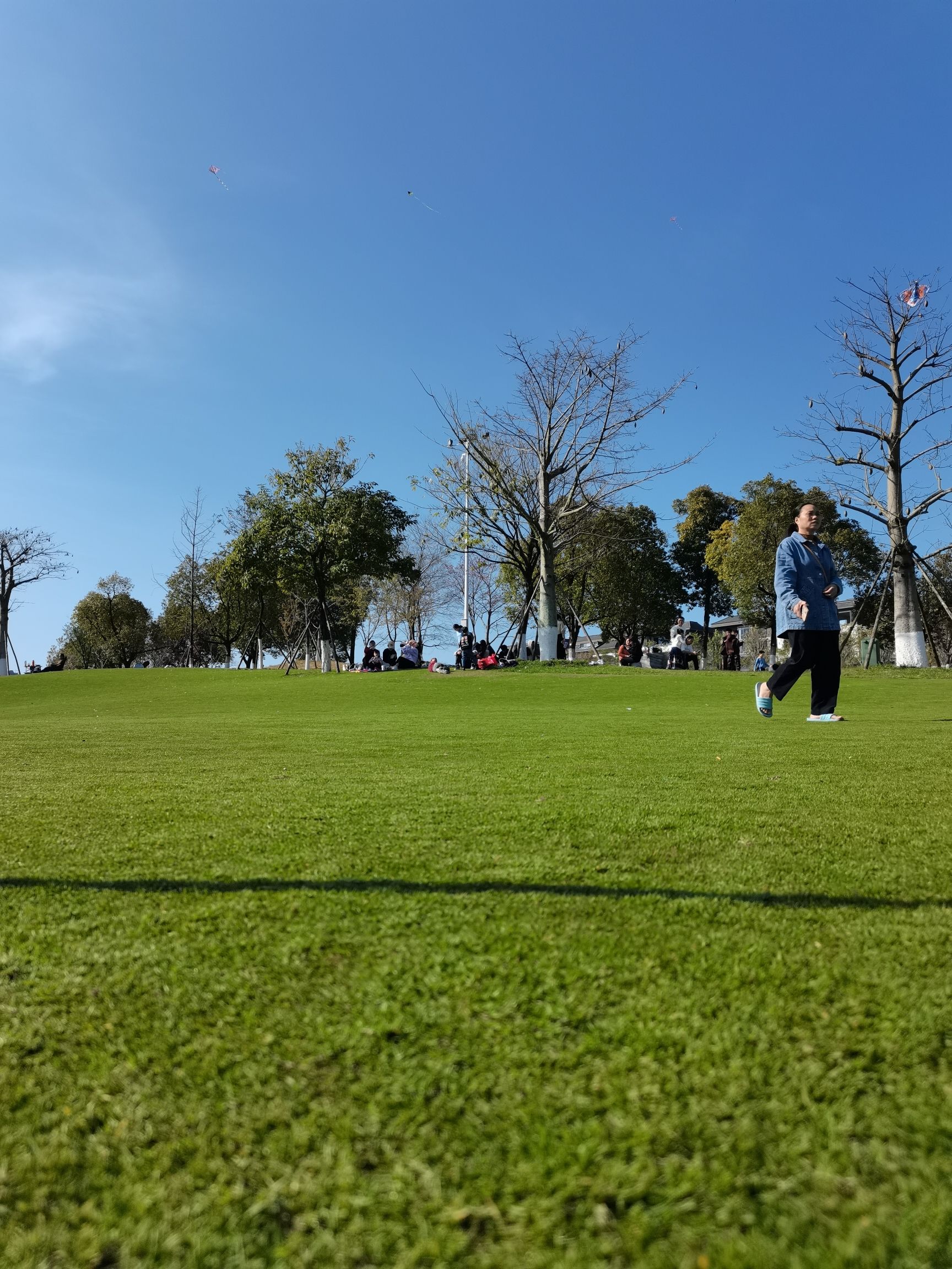 龙岩紫金山公园旅行图片 1
