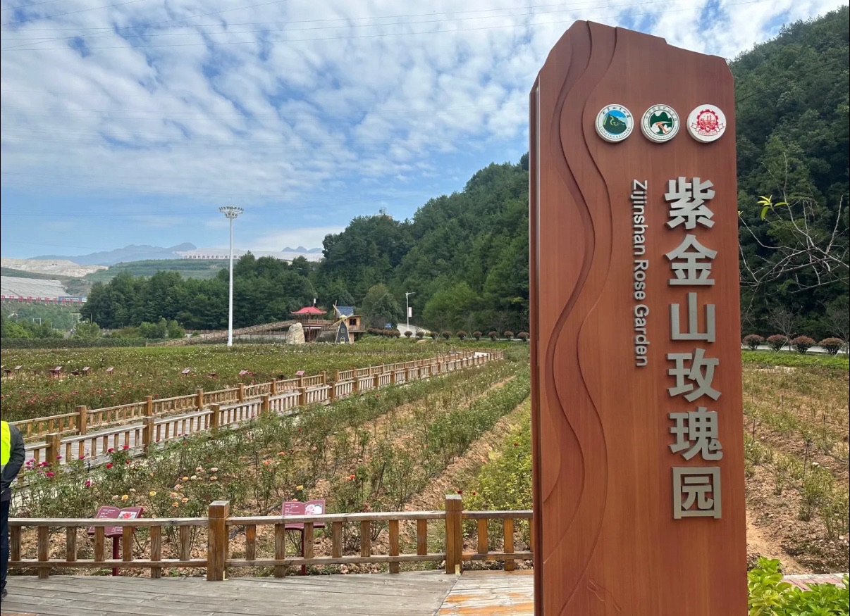 龙岩紫金山公园景点图片