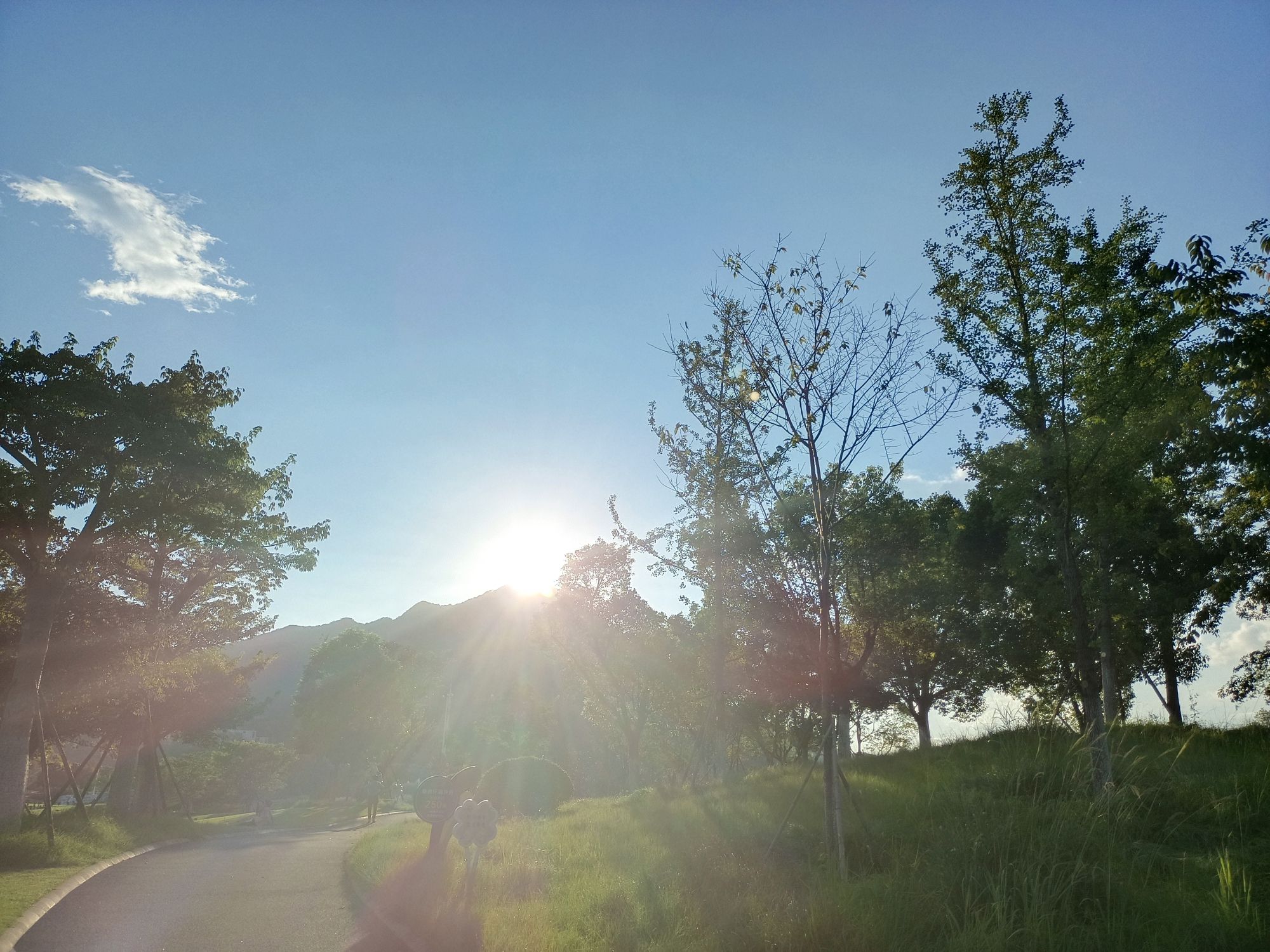 龙岩紫金山公园旅行图片 1
