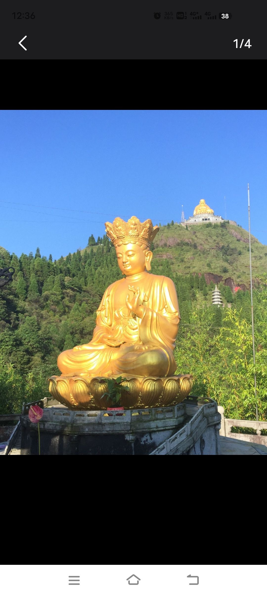 龙岩紫金山公园旅行图片 2