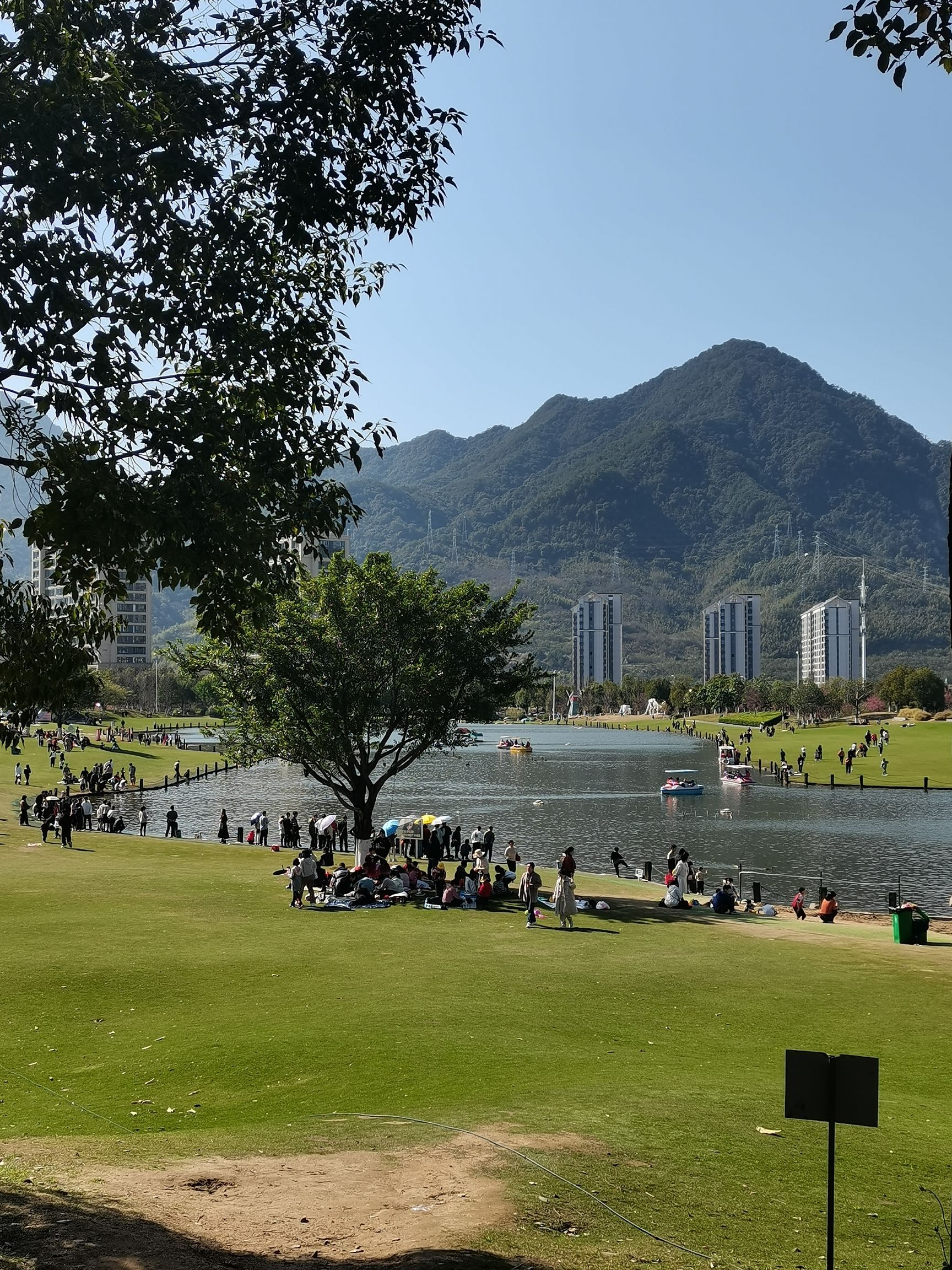 龙岩紫金山公园旅行图片 3