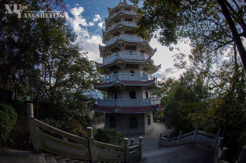 东山公园旅行图片 1