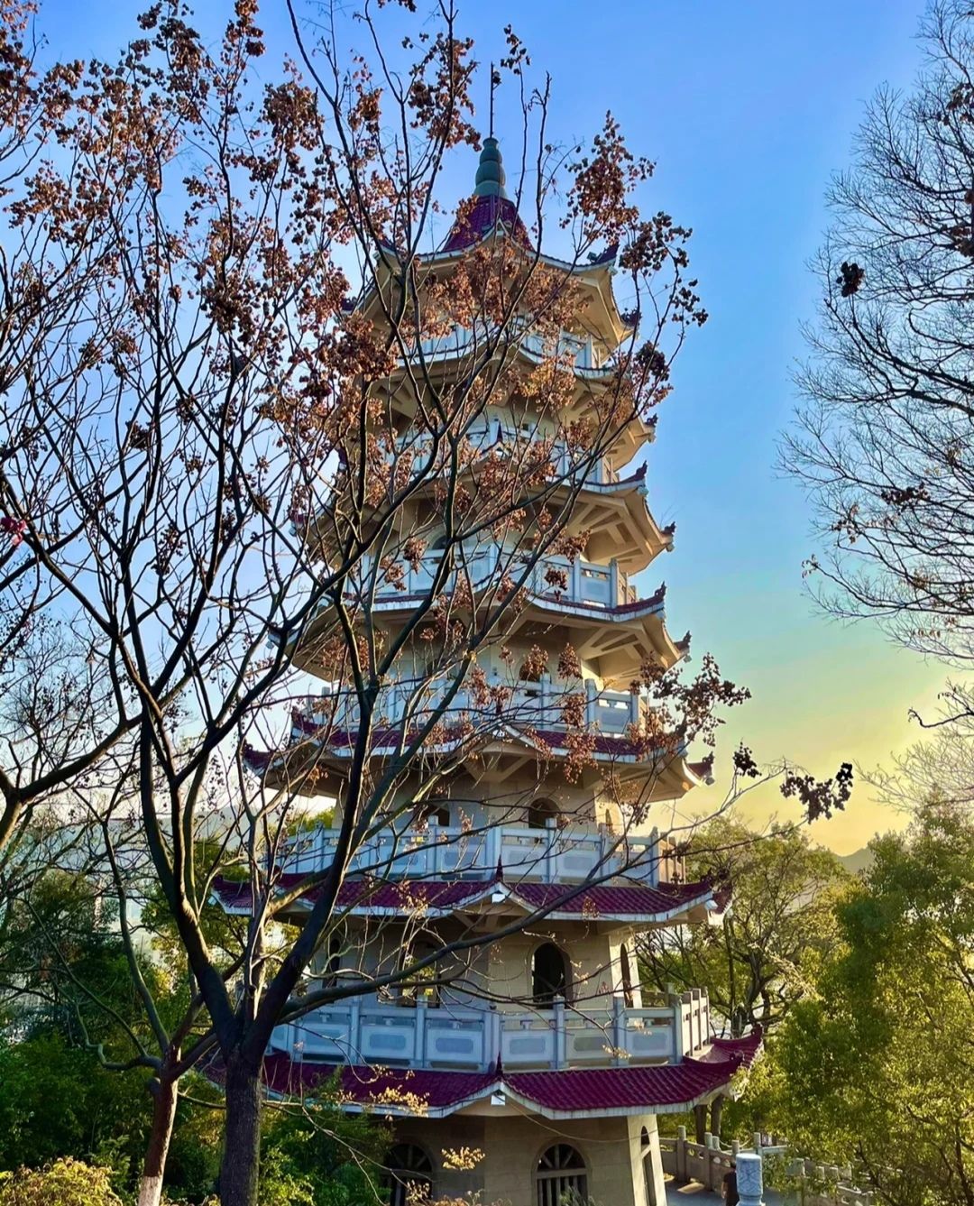 东山公园旅行图片 3