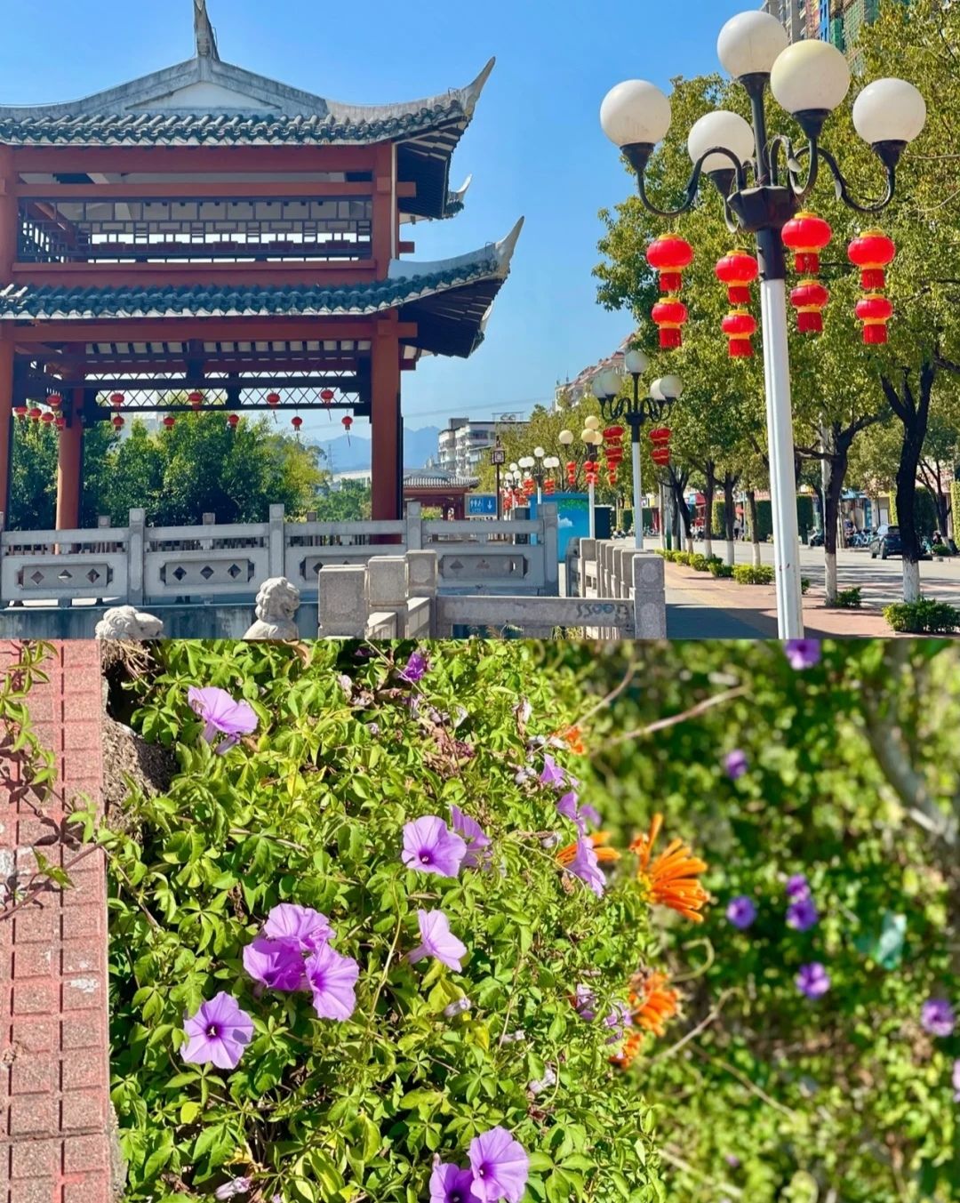 东山公园旅行图片 2