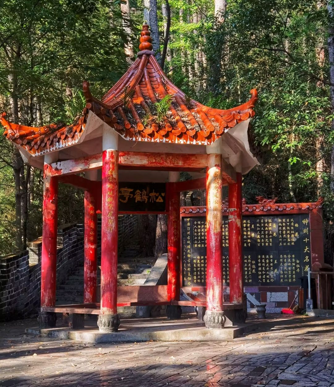 卧龙山公园旅行图片 3