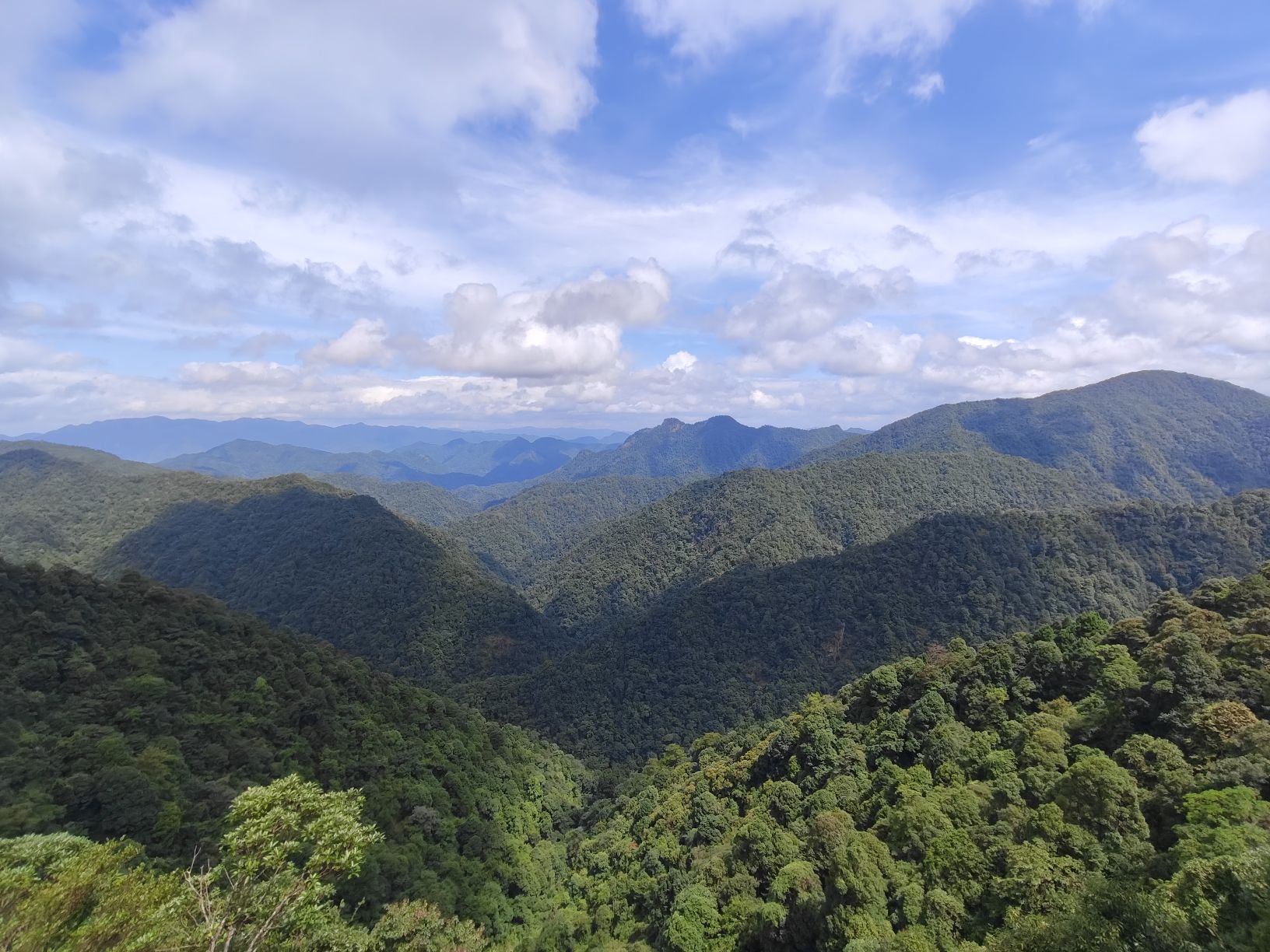 同康公园旅行图片 2