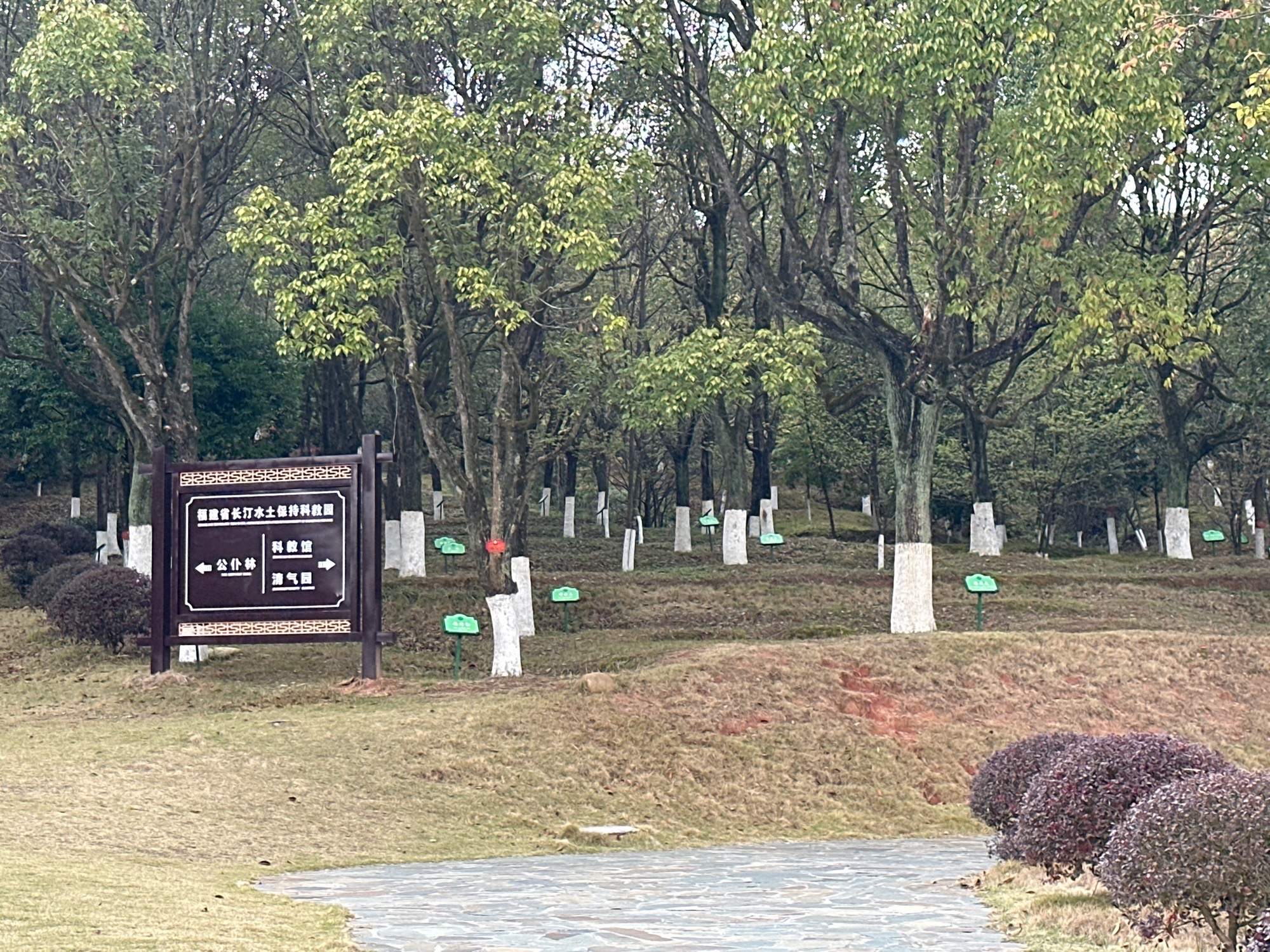 长汀县水土保持科教园旅行图片 2