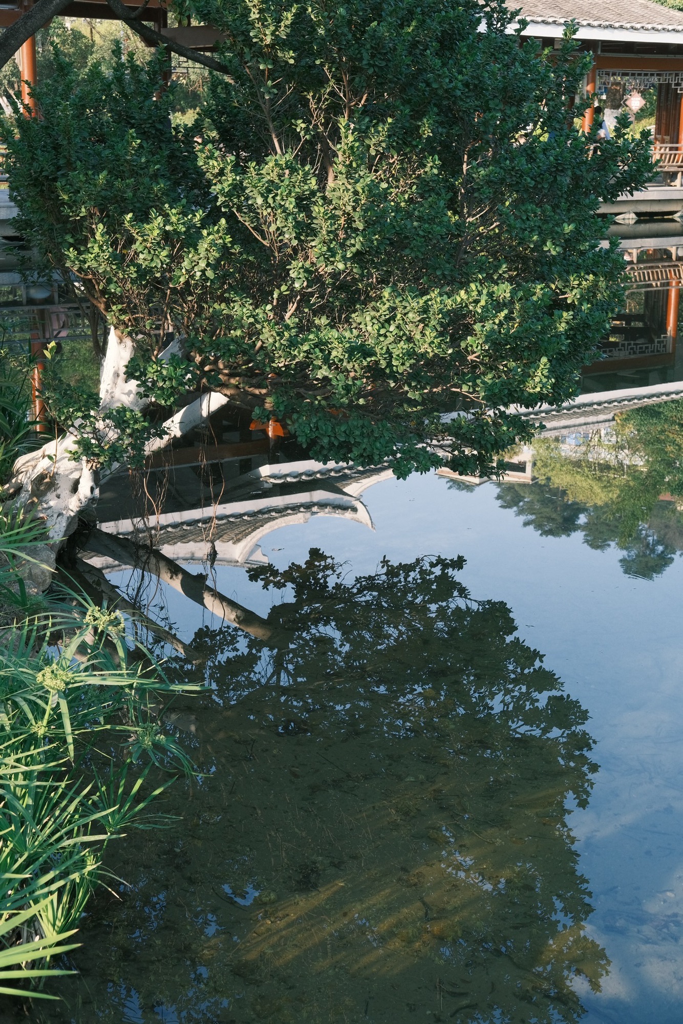 石锣鼓公园旅行图片 3