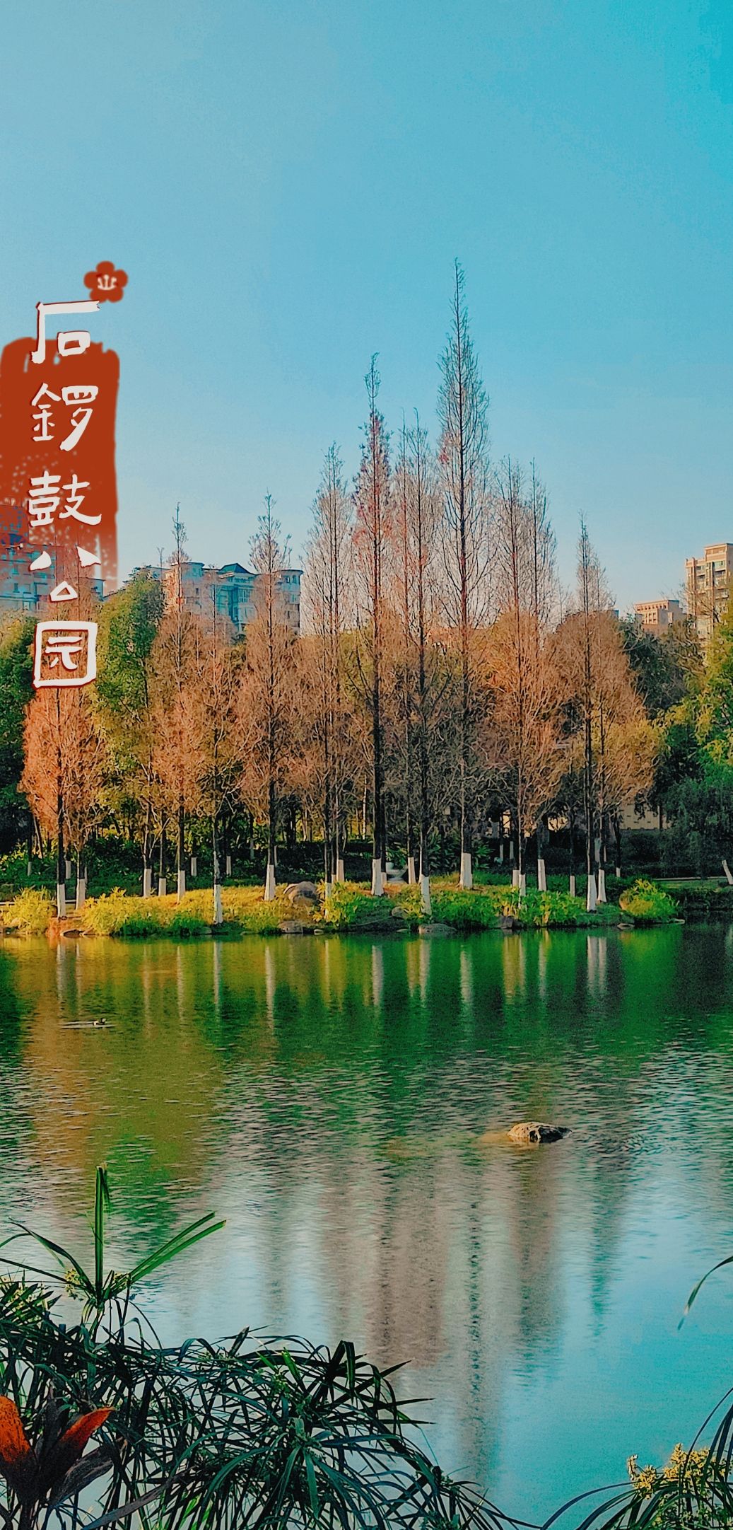 石锣鼓公园旅行图片 1