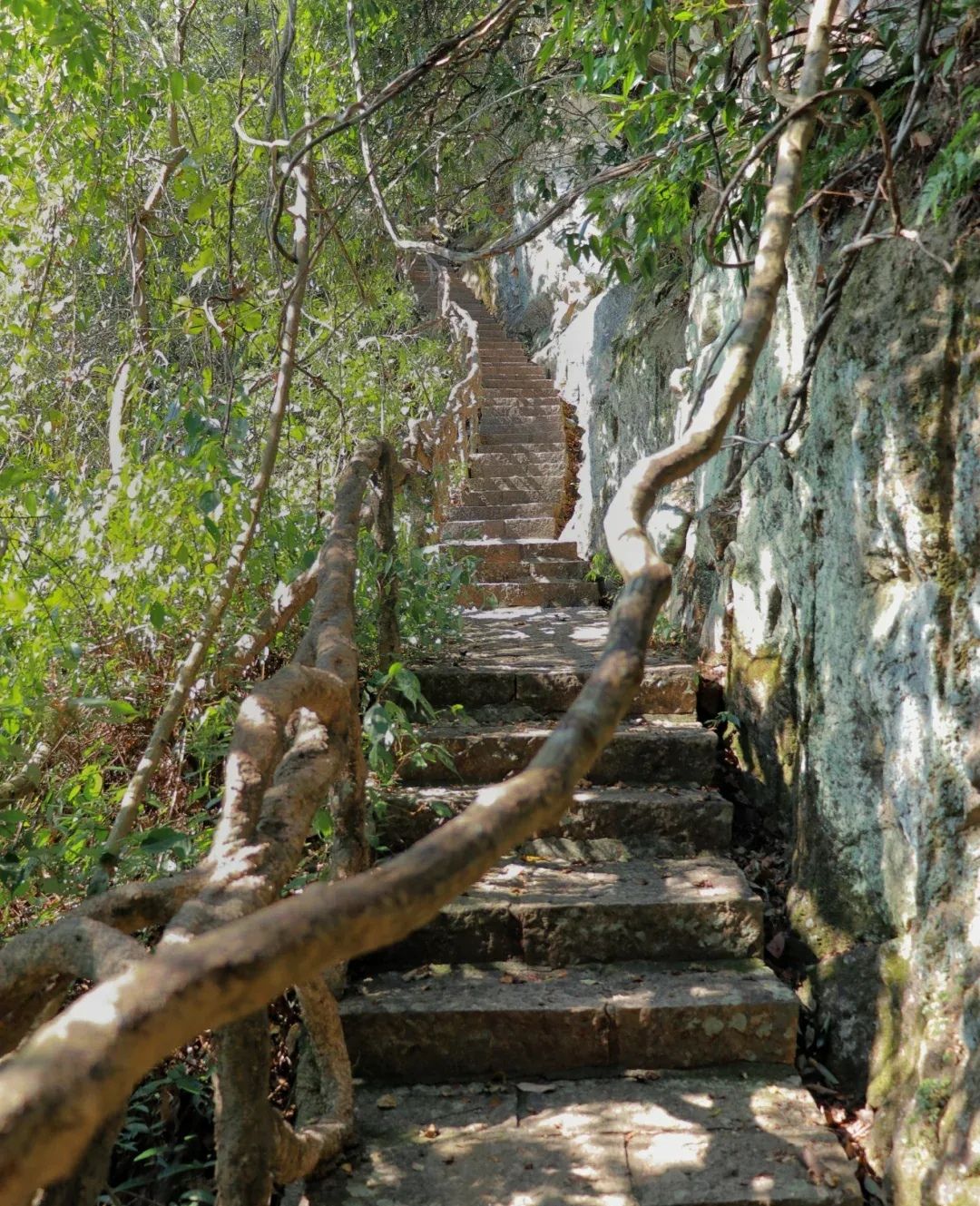 瑞云山旅行图片 3