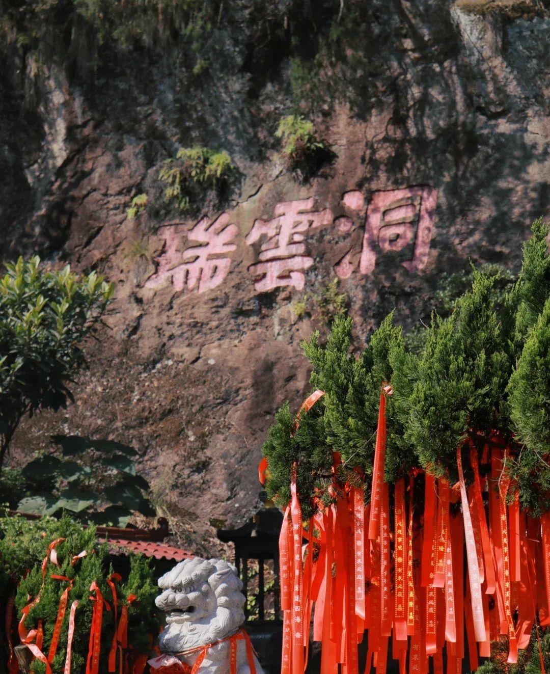 瑞云山旅行图片 2
