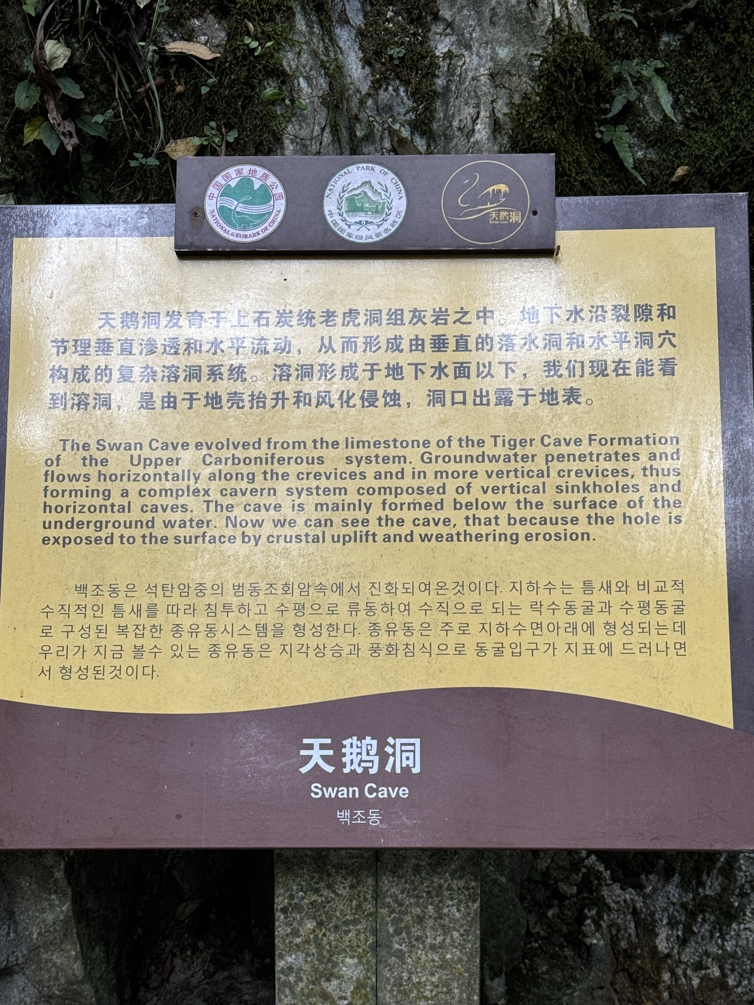 天鹅洞群旅行图片 1
