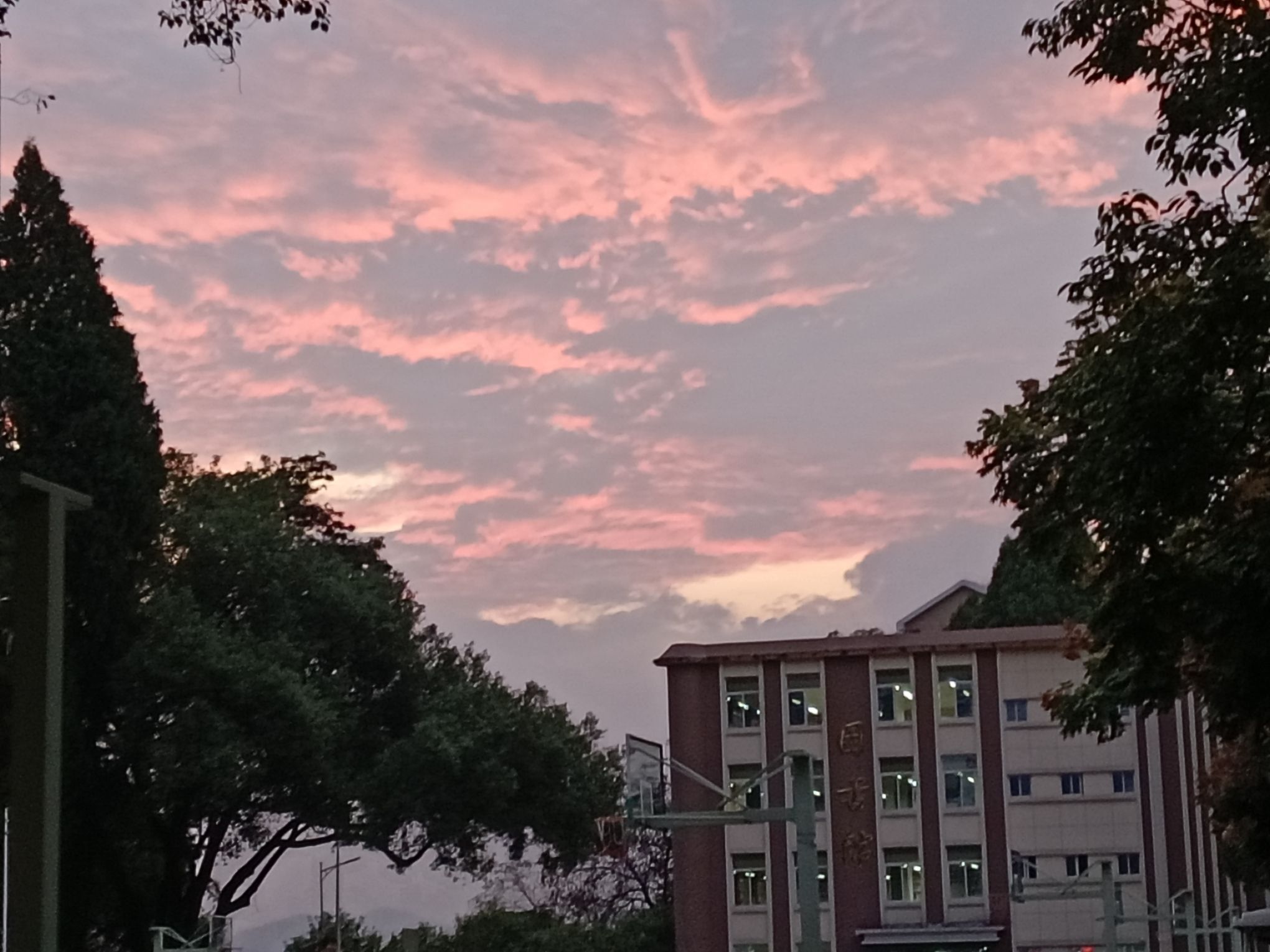 三明医学科技职业学院东校区