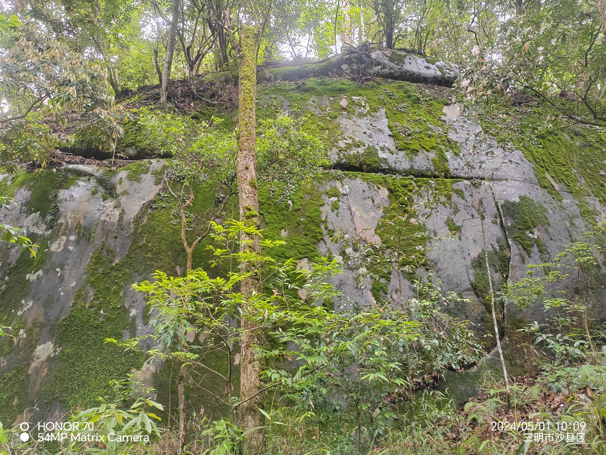 松柏岩景区旅行图片 3