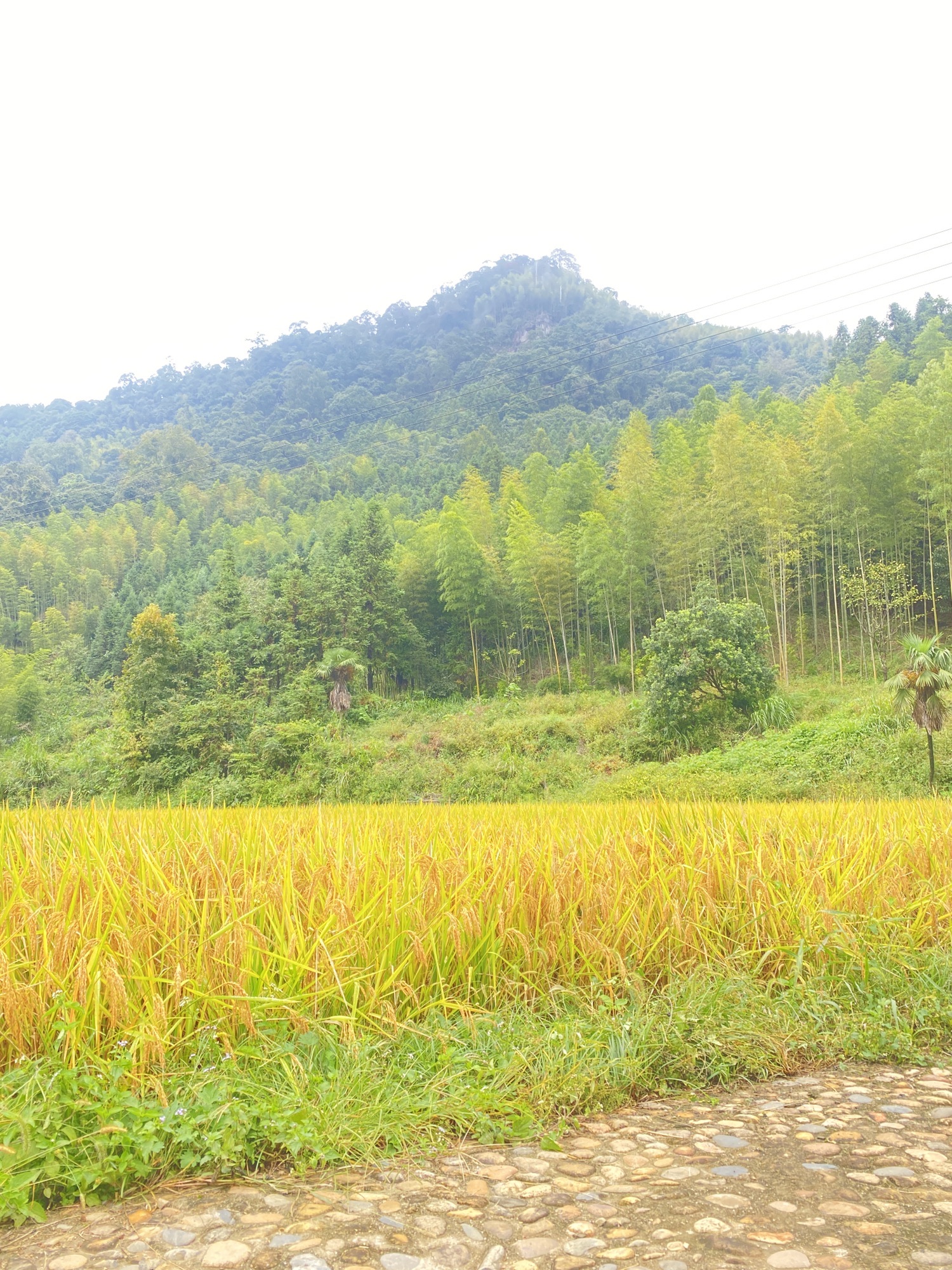 松柏岩景区旅行图片 2