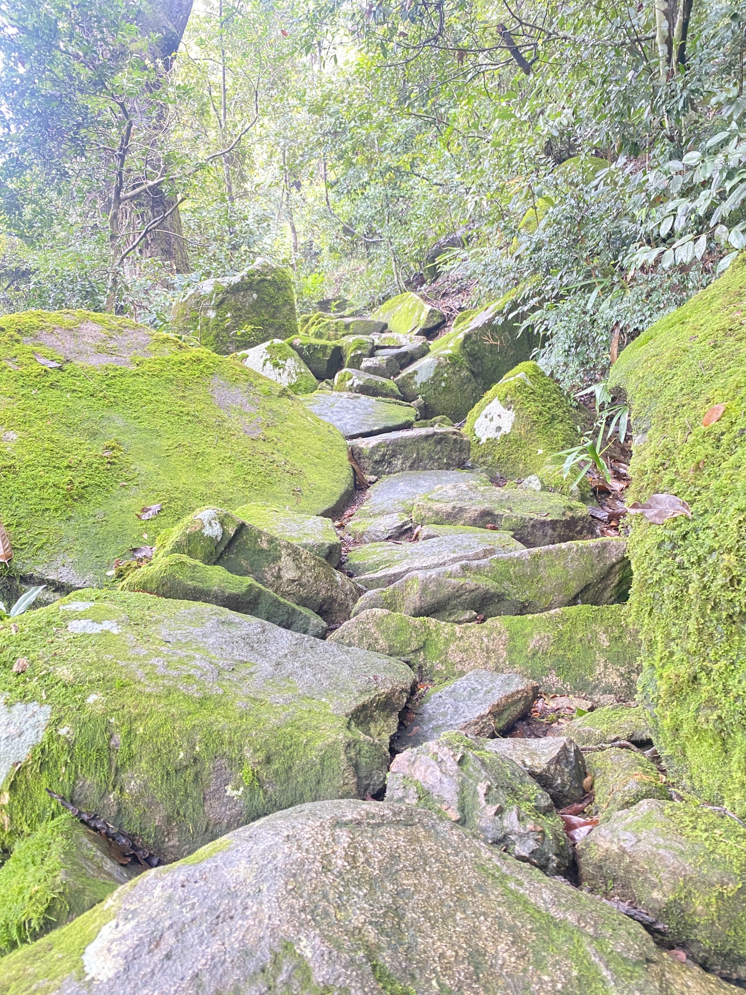 松柏岩景区旅行图片 3
