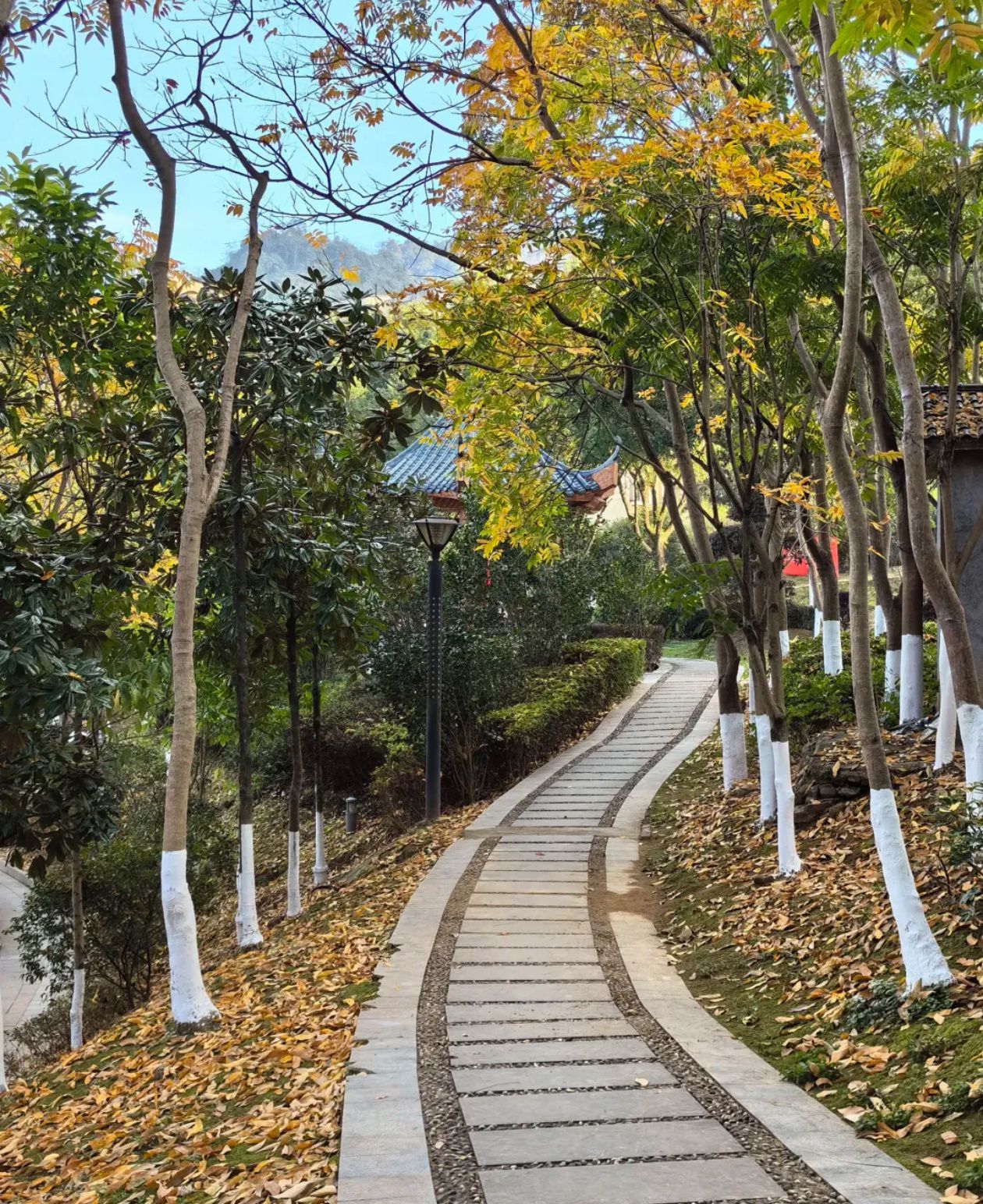 三明学院(三元校区)