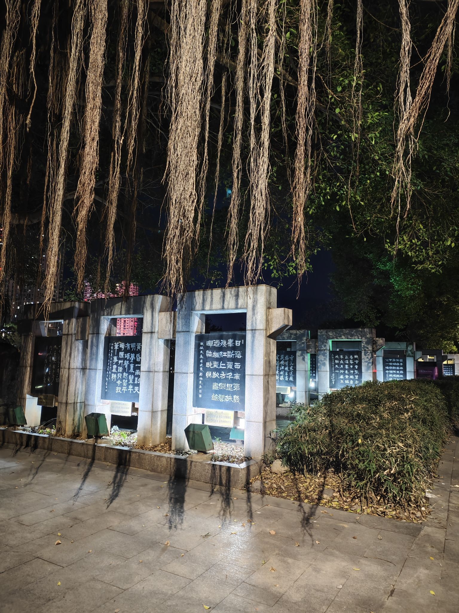 大理公园旅行图片 2