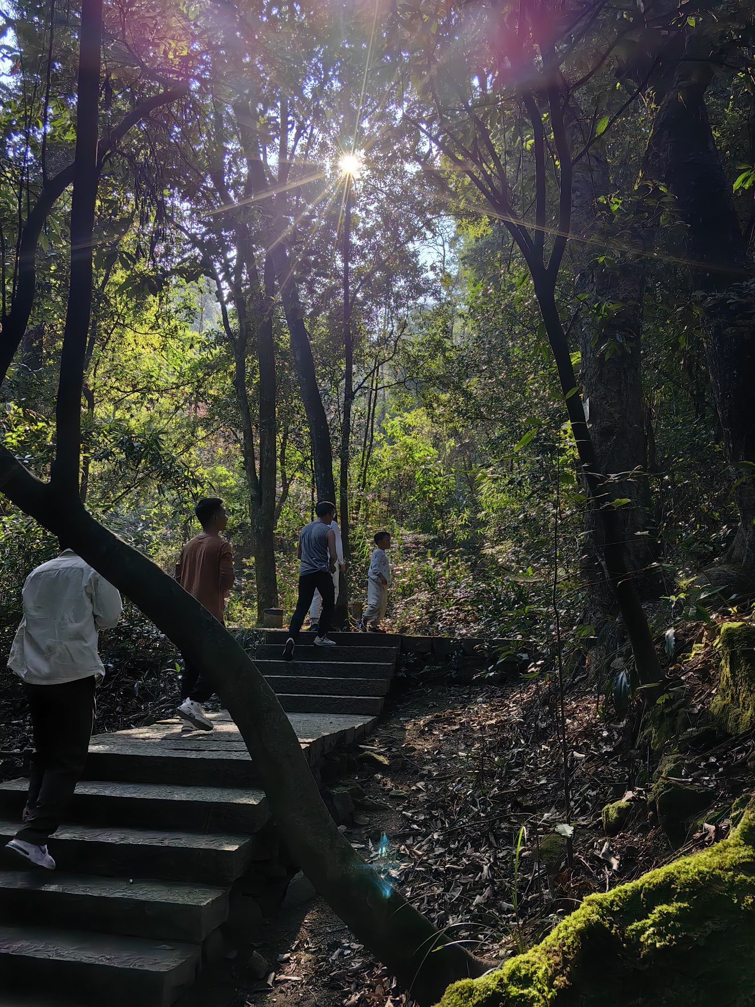 淘金山风景区旅行图片 2