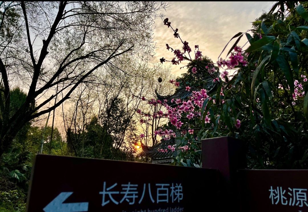 龙泉山景区旅行图片 2
