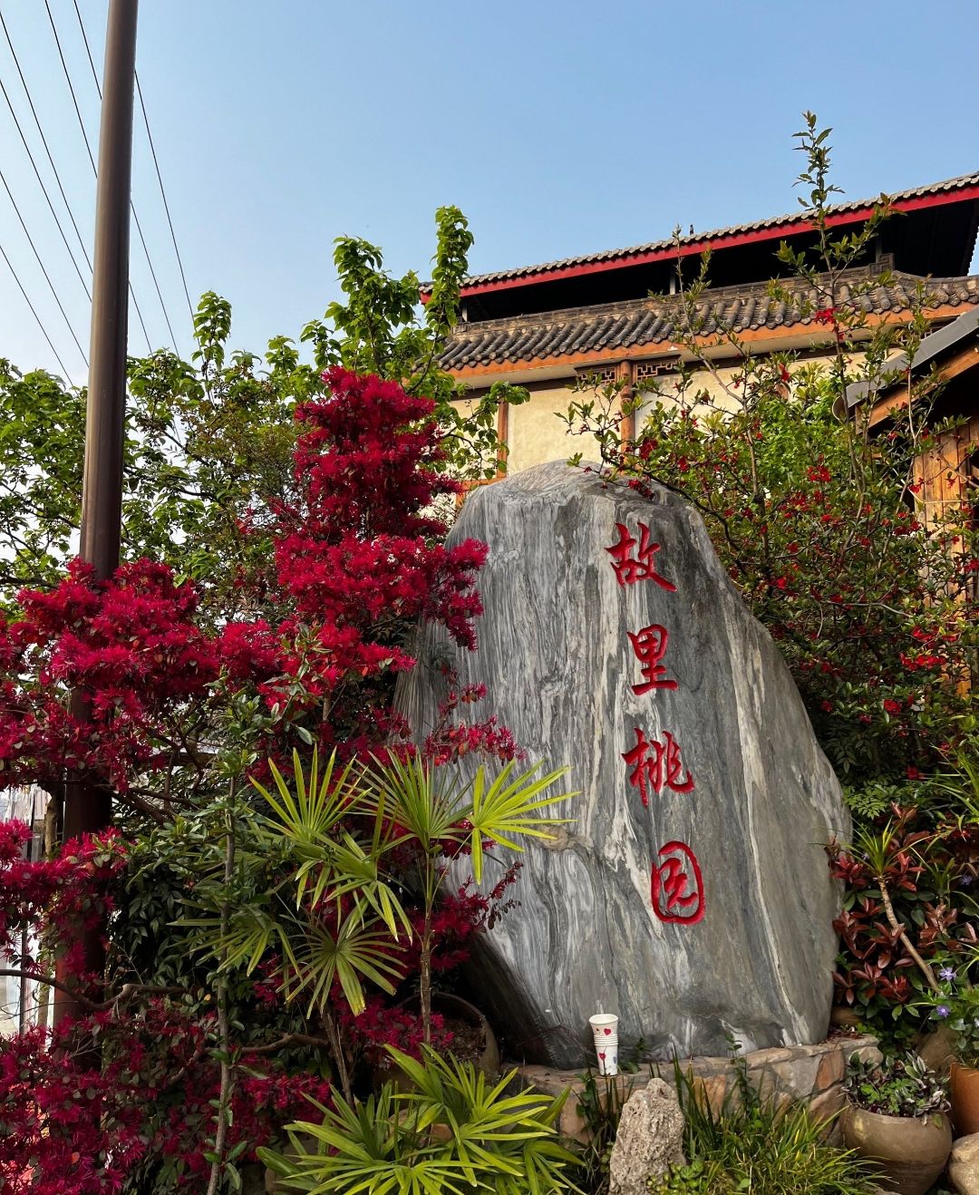 龙泉山景区旅行图片 1