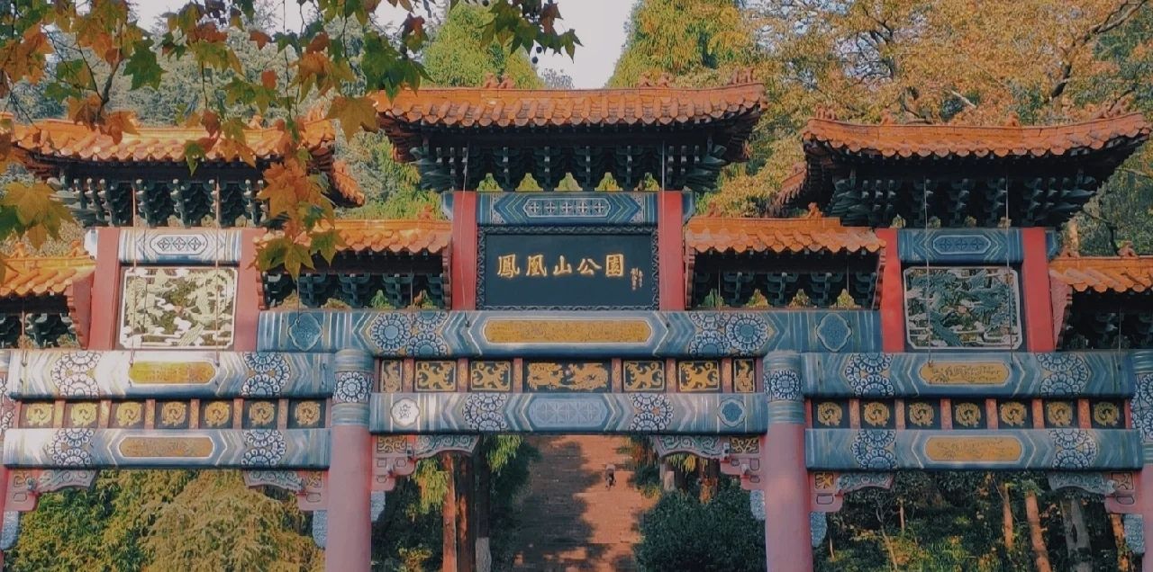 凤凰山森林公园旅行图片 1