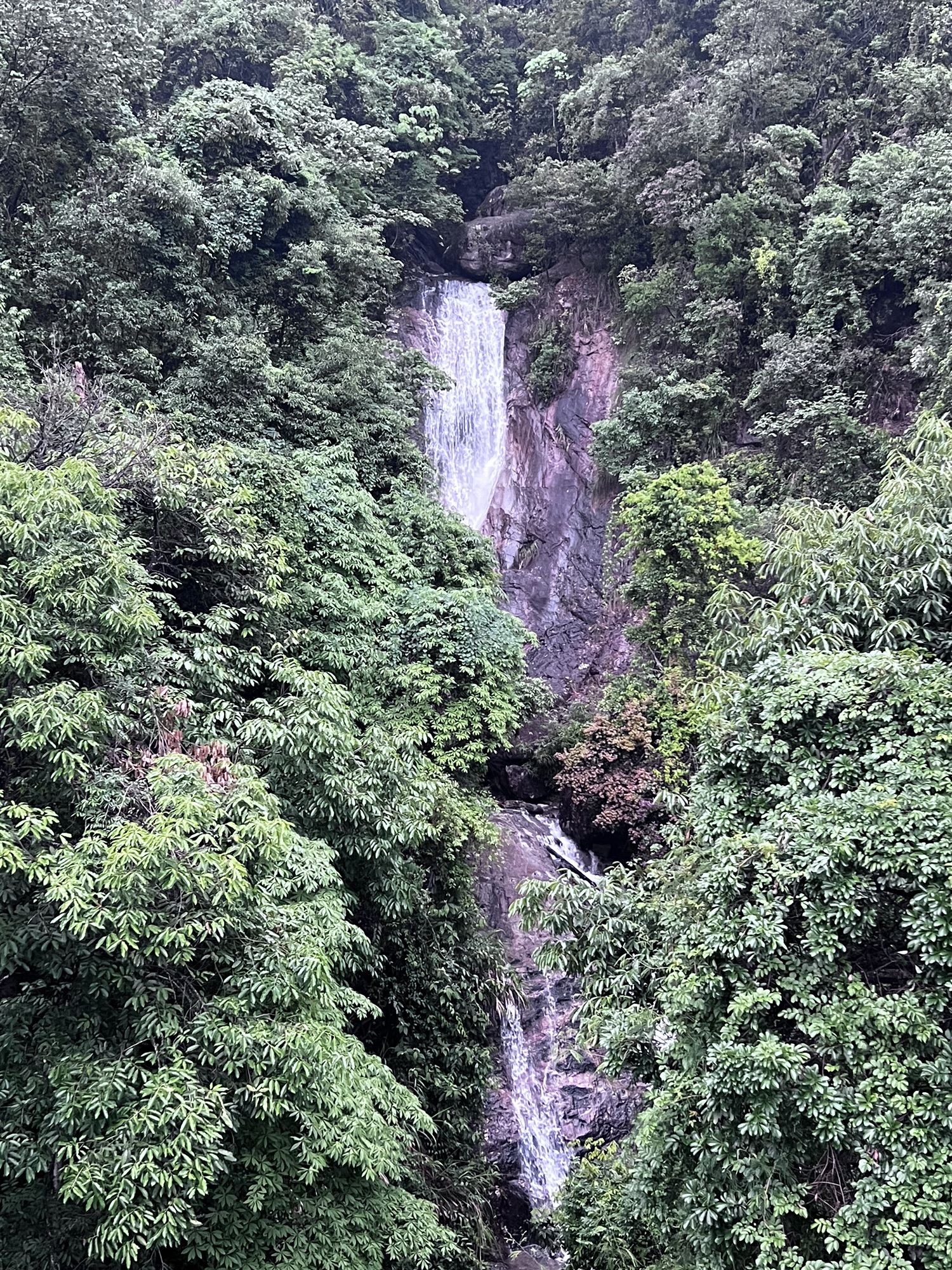 三明仙人谷国家森林公园旅行图片 3