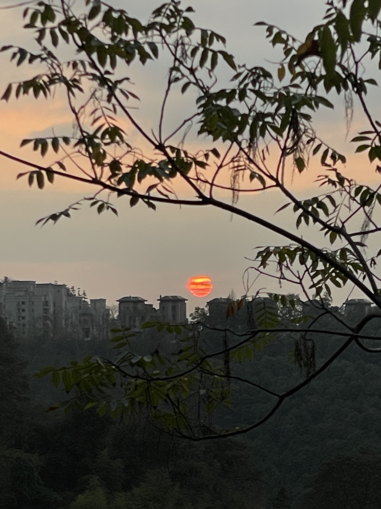 三明仙人谷国家森林公园旅行图片 2