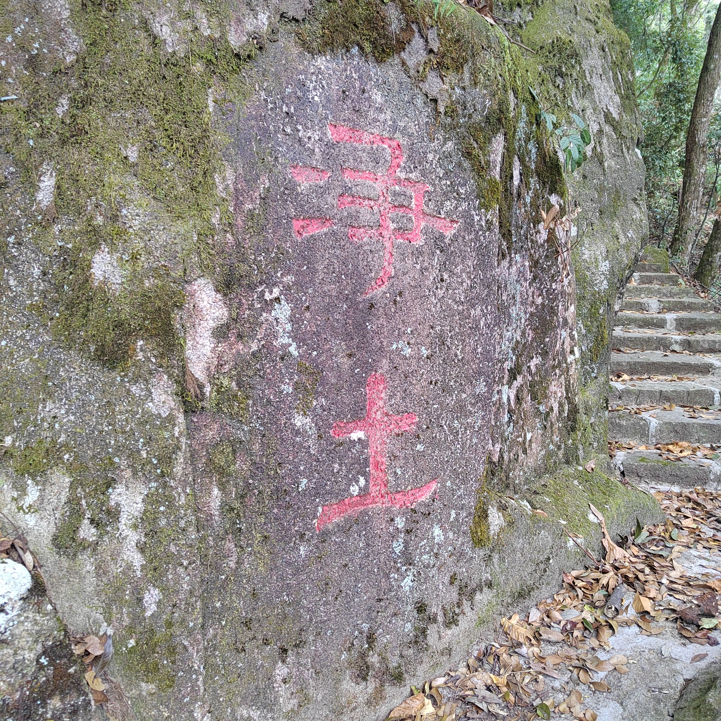 三明仙人谷国家森林公园旅行图片 3