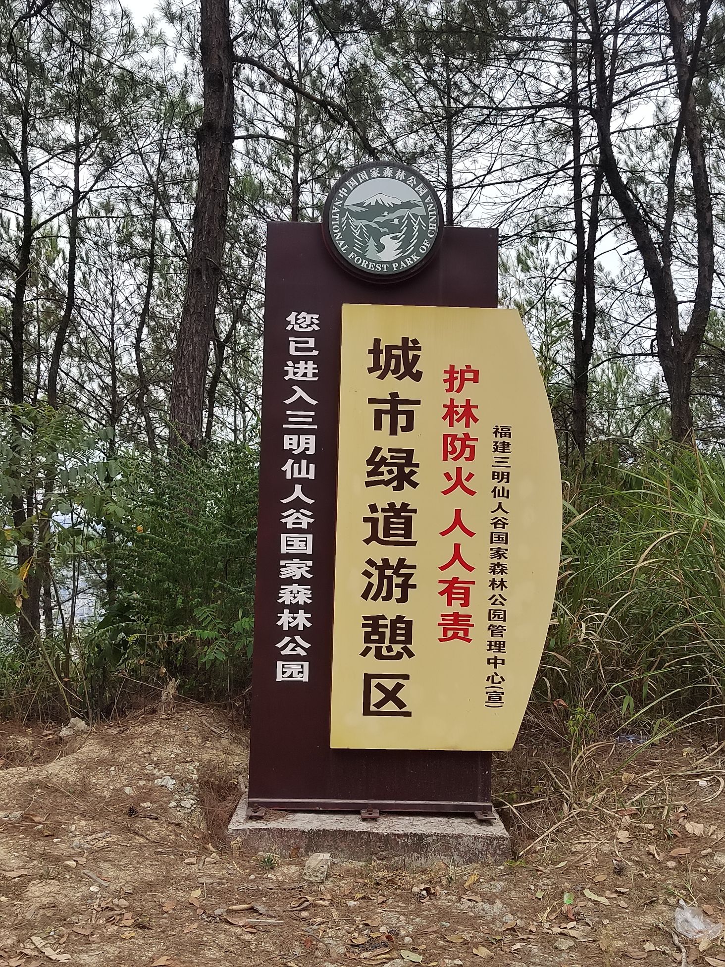 三明仙人谷国家森林公园旅行图片 1