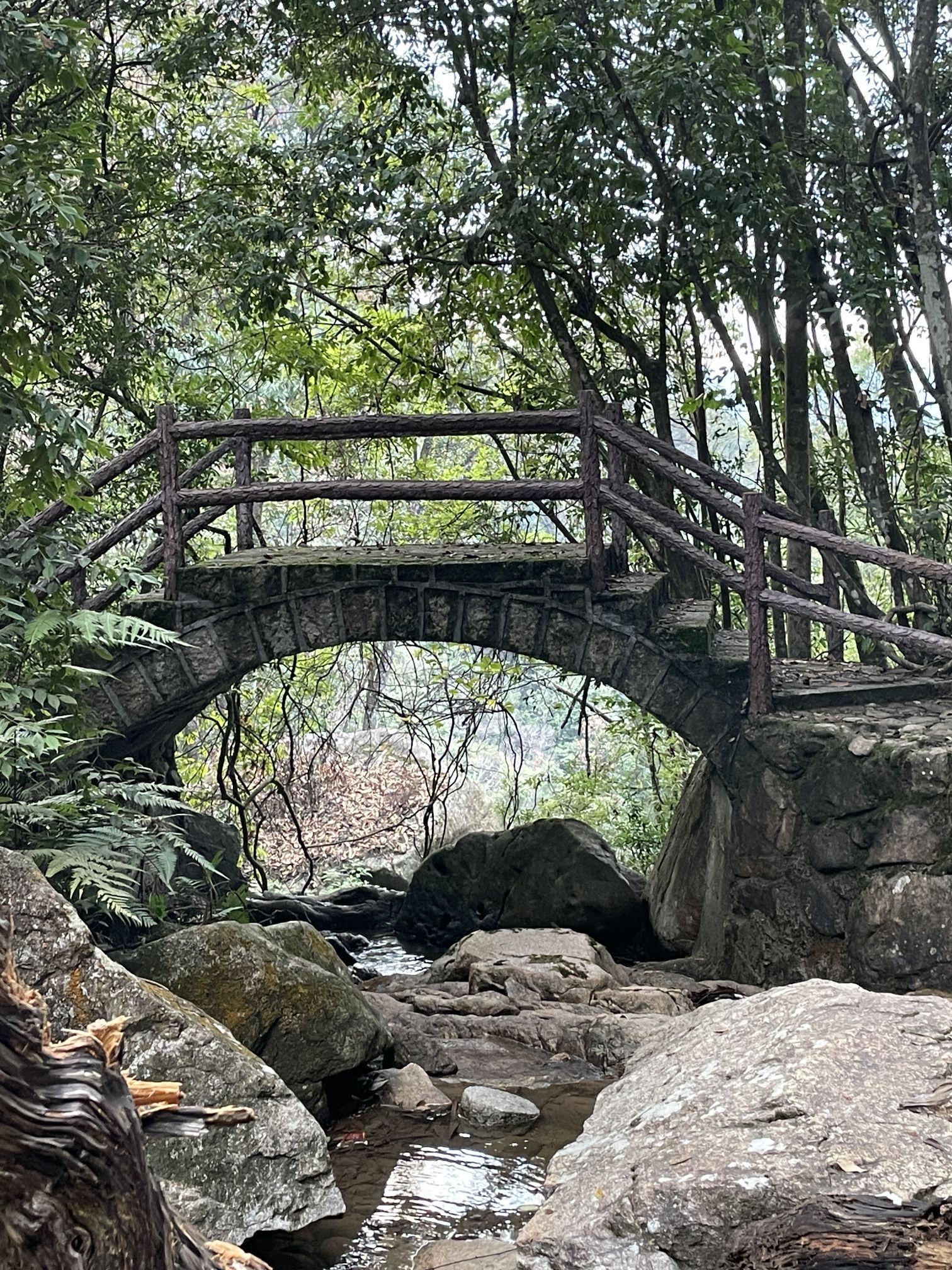 三明仙人谷国家森林公园旅行图片 3